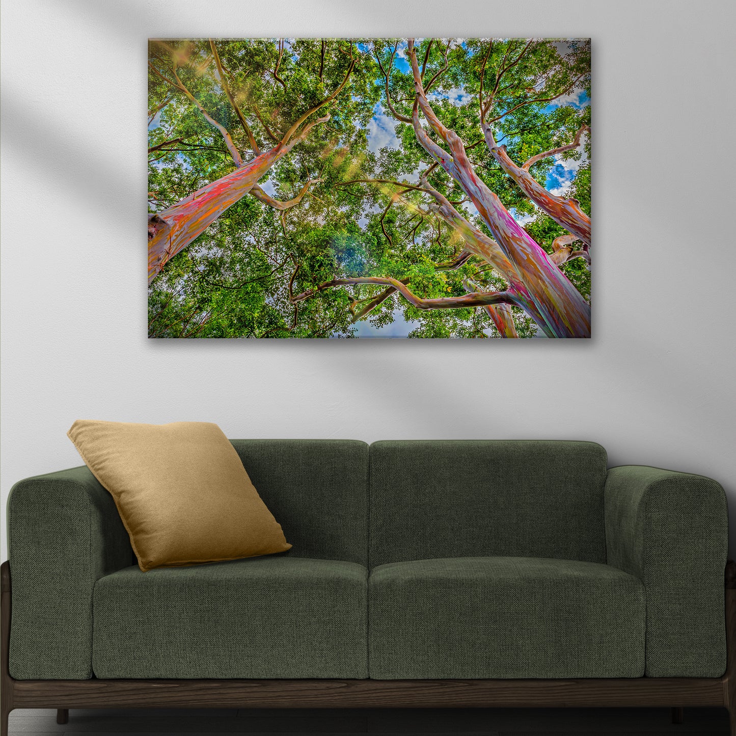 Rainbow Eucalyptus Tree Canvas Wall Art Style 2 - Image by Tailored Canvases