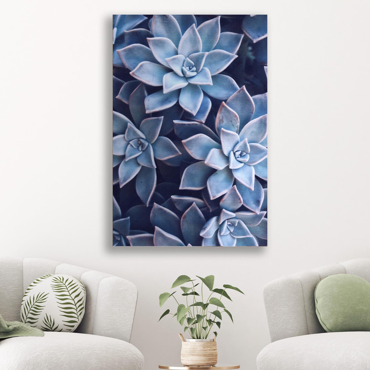 Teal Rose Succulent Canvas Wall Art Style 2 - Image by Tailored Canvases