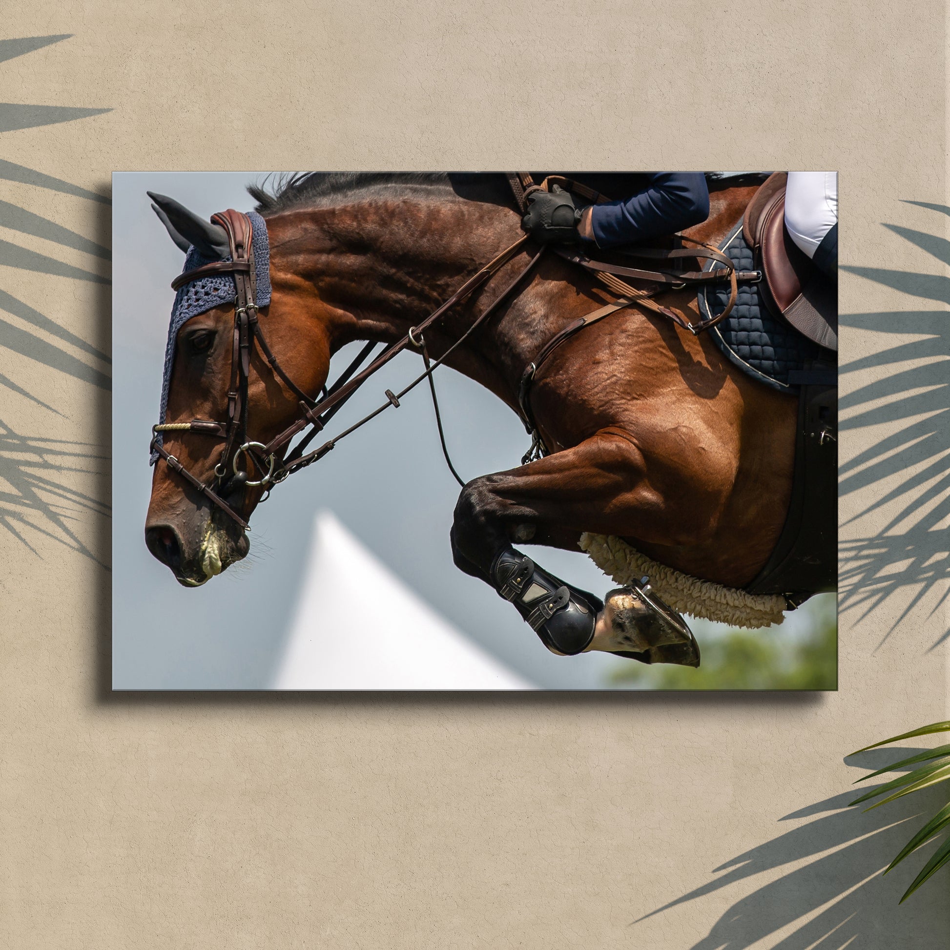 Equestrian Jumping Show Canvas Wall Art Style 2 - Image by Tailored Canvases