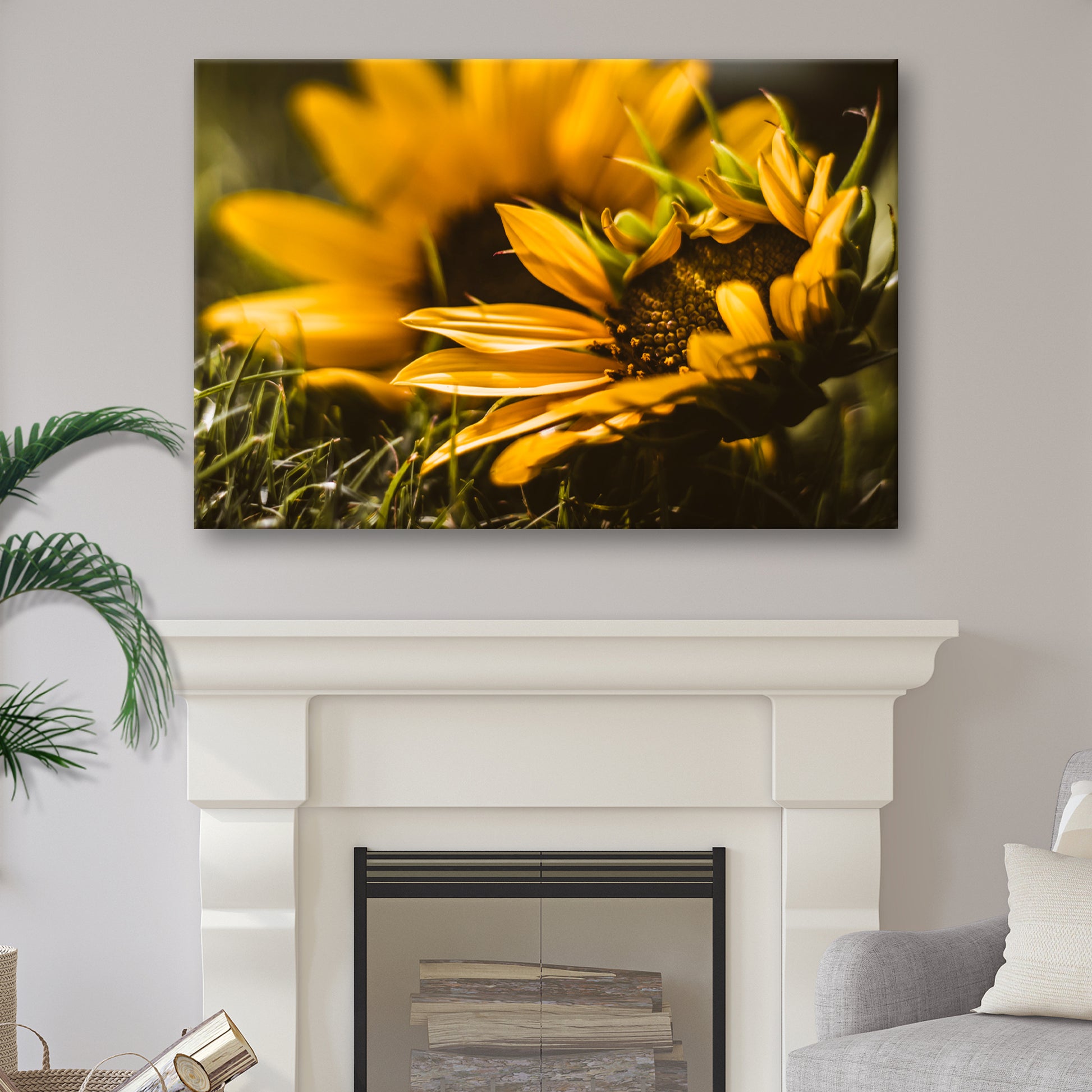 Macro Sunflower Canvas Wall Art Style 2 - Image by Tailored Canvases