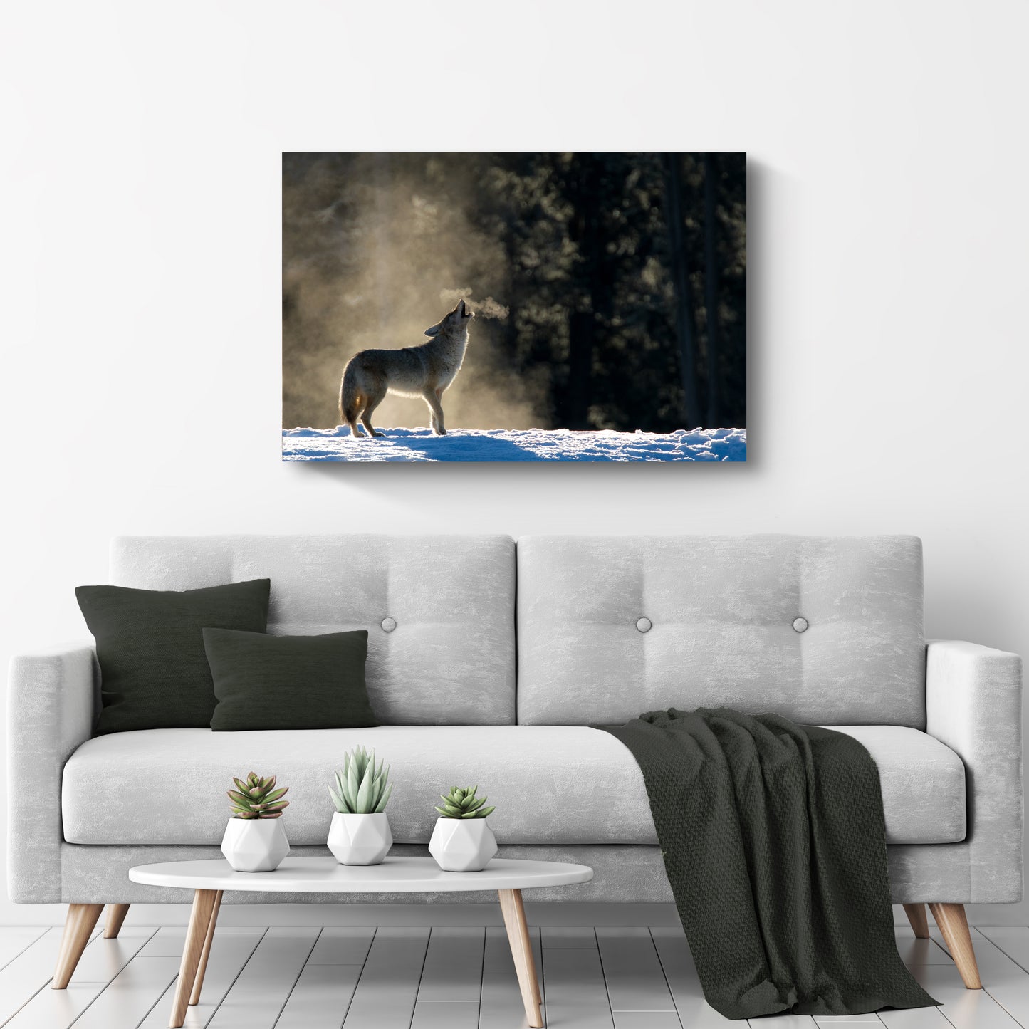 Animals Forest Coyote Howling Canvas Wall Art - by Tailored Canvases