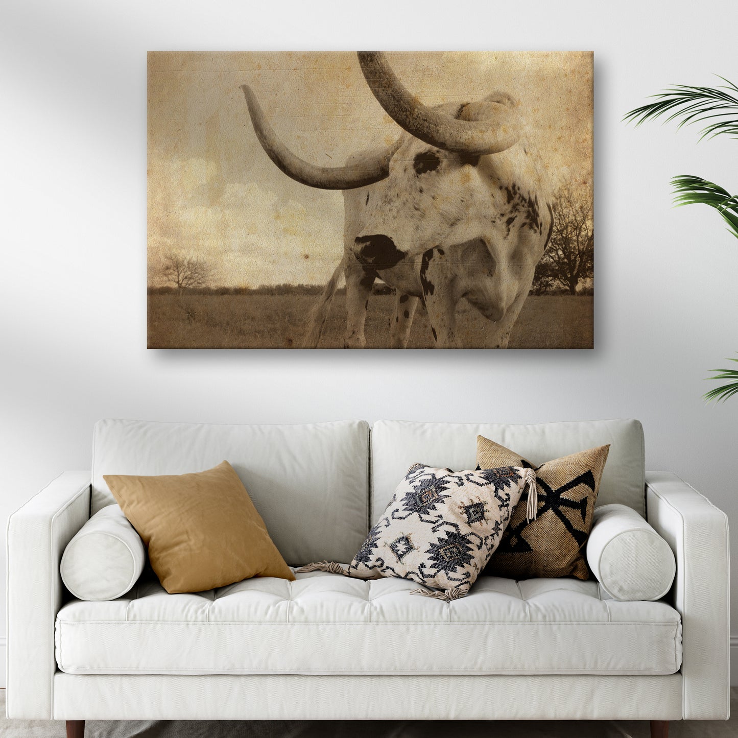 Vintage Longhorn Cattle Canvas Wall Art Style 2 - Image by Tailored Canvases