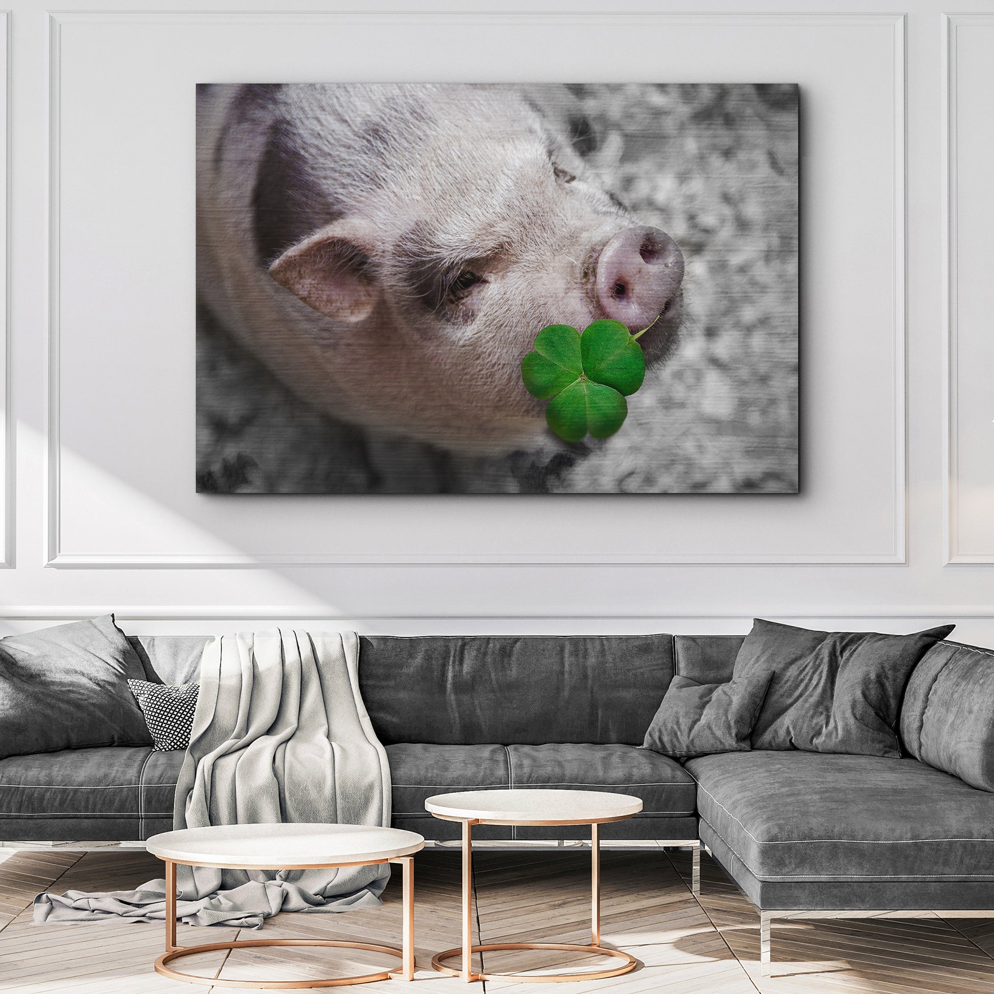 Pig With Shamrock Canvas Wall Art Style 2 - Image by Tailored Canvases