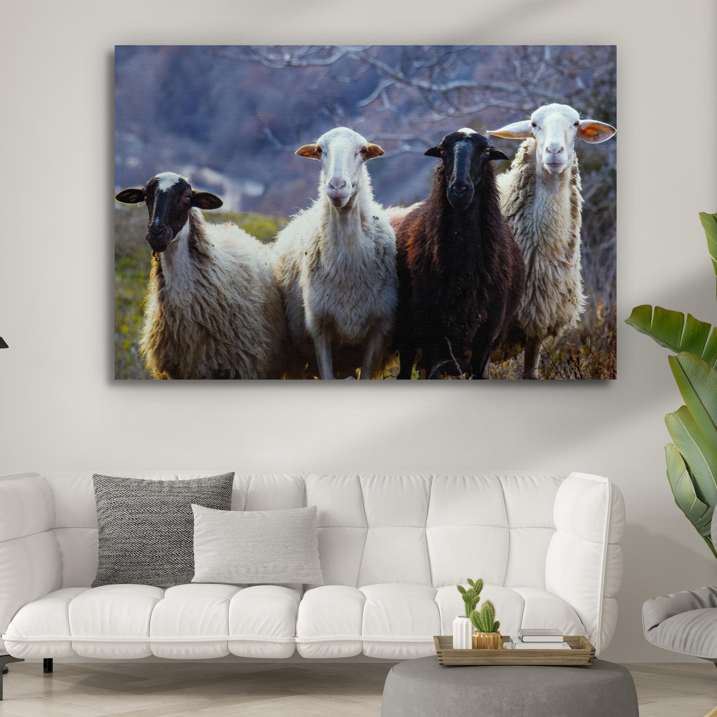Country Sheep Canvas Wall Art Style 2 - Image by Tailored Canvases