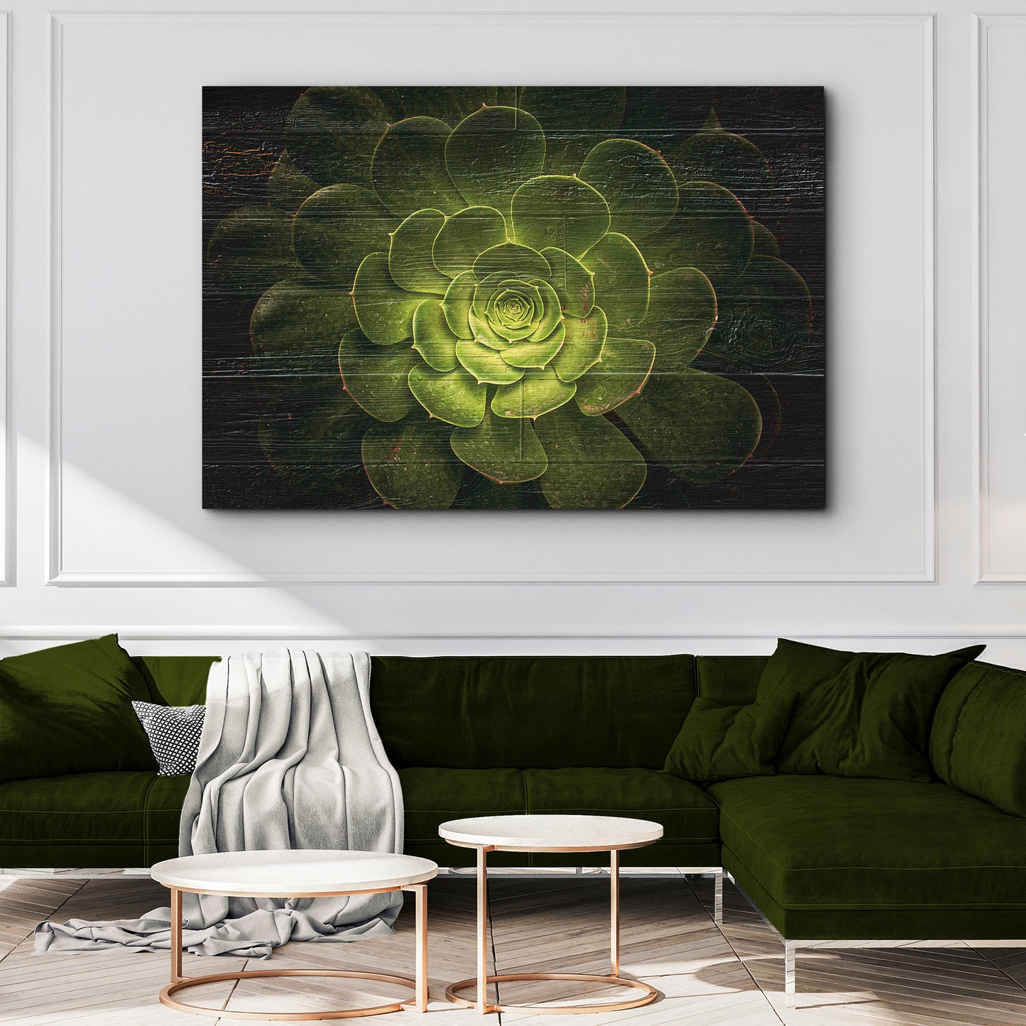 Succulent In Macro Lens Canvas Wall Art Style 2 - Image by Tailored Canvases