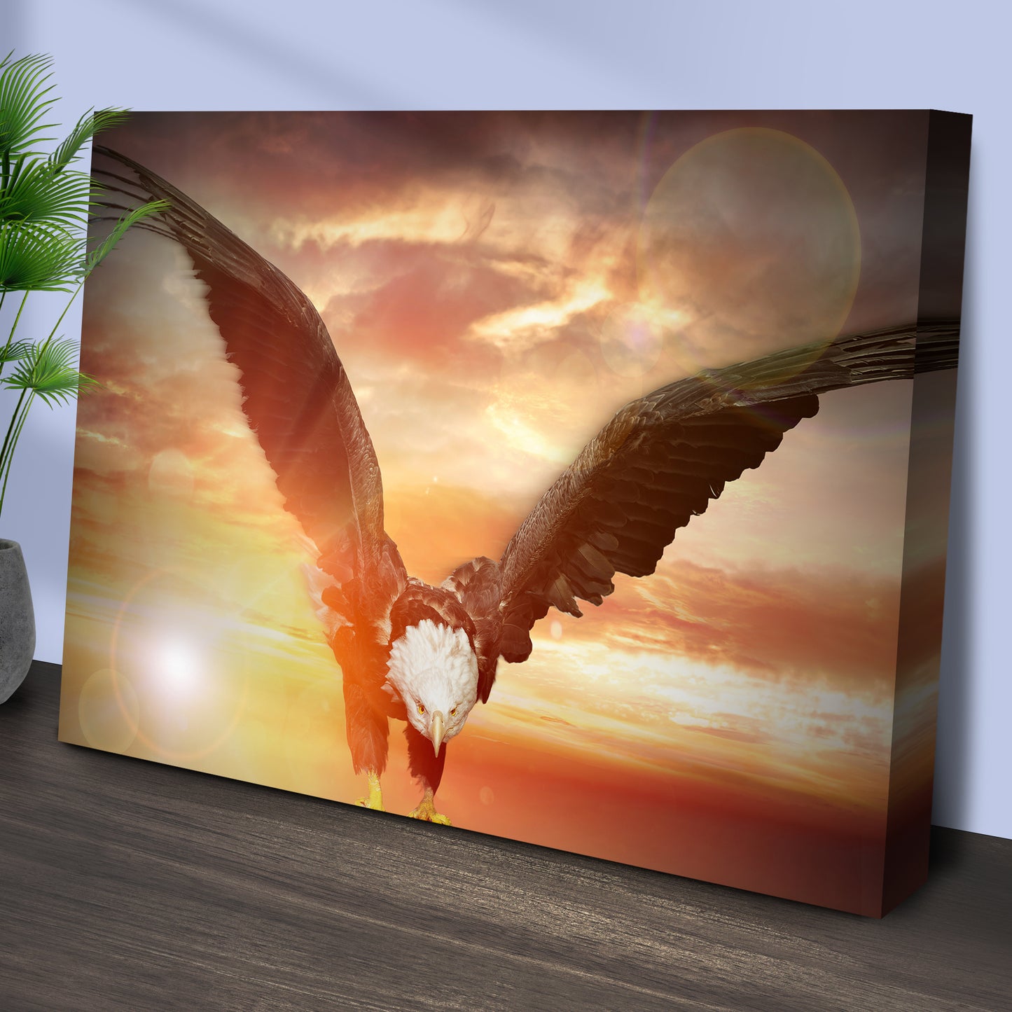 Soaring Bald Eagle Canvas Wall Art Style 2 - Image by Tailored Canvases