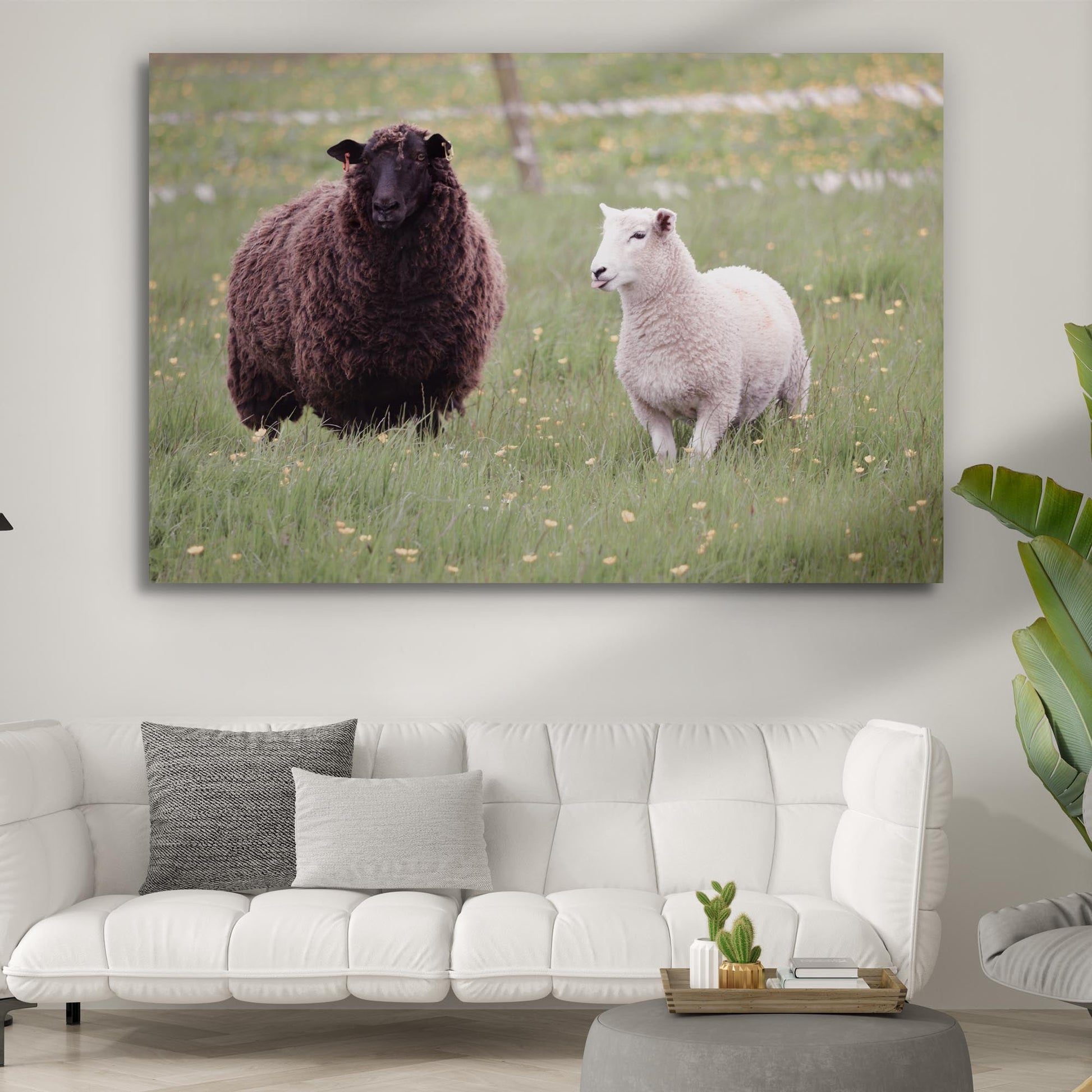 Hello Dally The Sheep Canvas Wall Art Style 2 - Image by Tailored Canvases