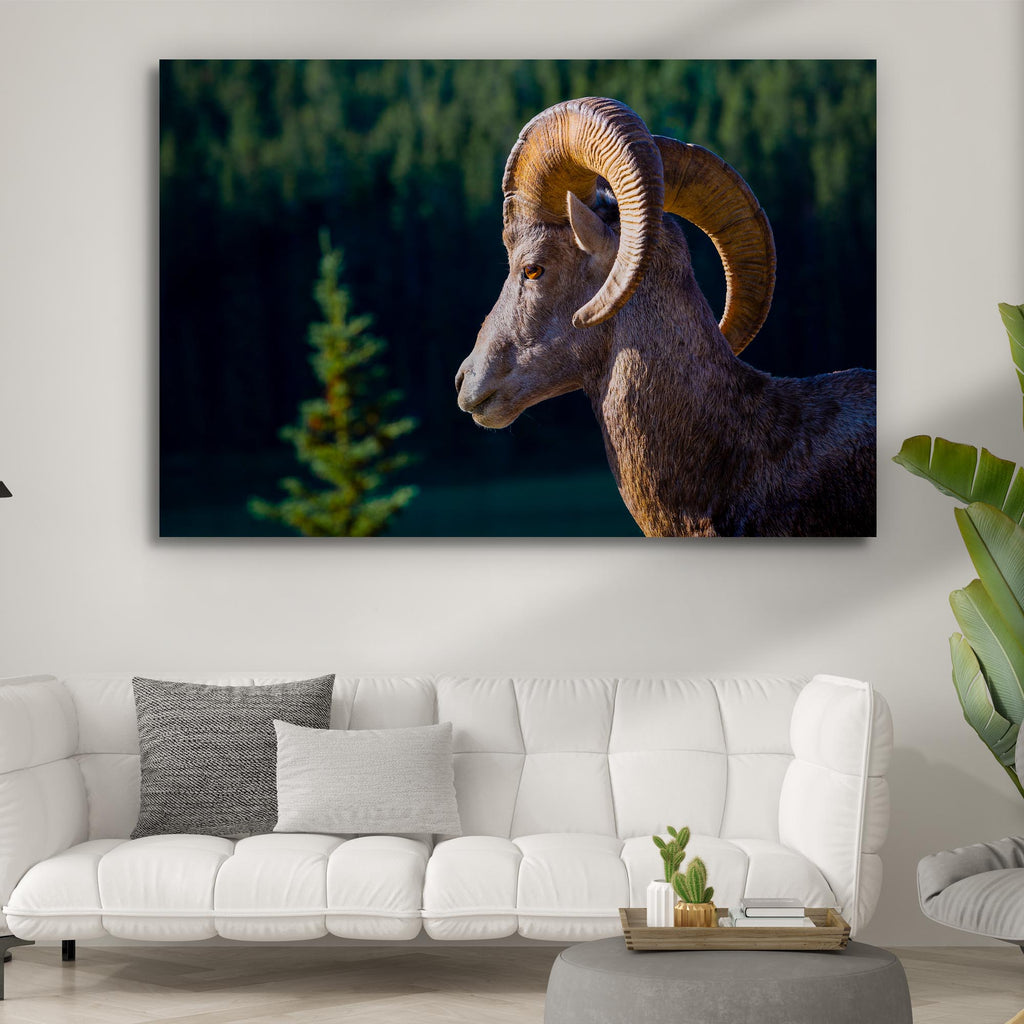 Bighorn Sheep Of The Forest Canvas Wall Art by Tailored Canvases 