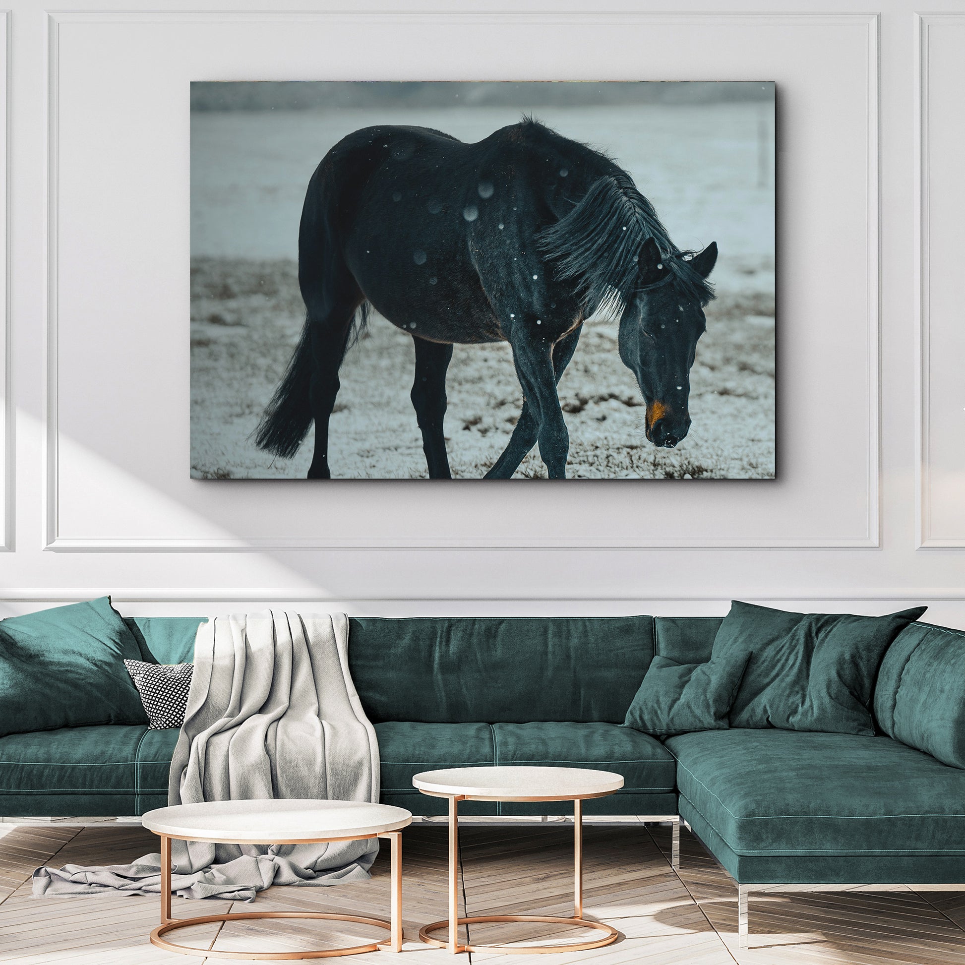Black Horse In Winter Cattle Canvas Wall Art Style 2 - Image by Tailored Canvases
