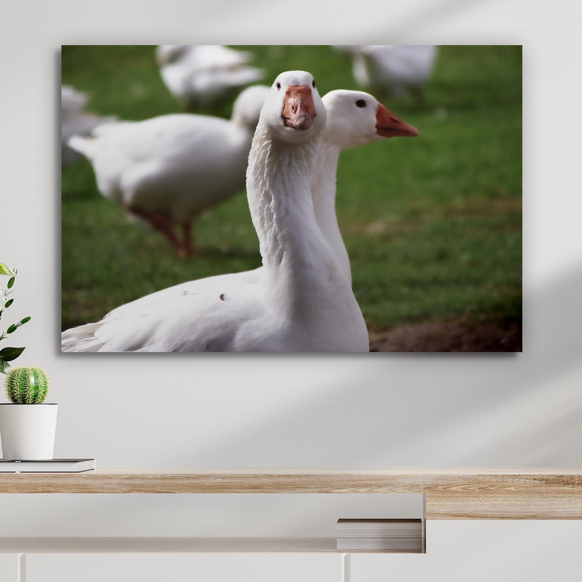 Curious Geese Canvas Wall Art Style 2 - Image by Tailored Canvases