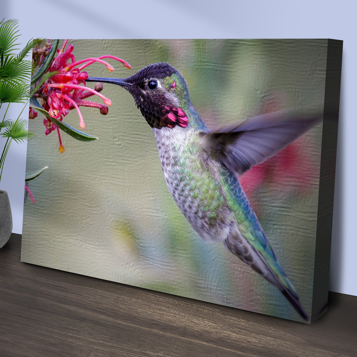 Hummingbird Spring Canvas Wall Art Style 2 - Image by Tailored Canvases