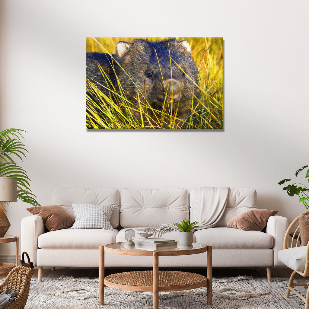 Animals Forest Wombat Grazing Canvas Wall Art by Tailored Canvases