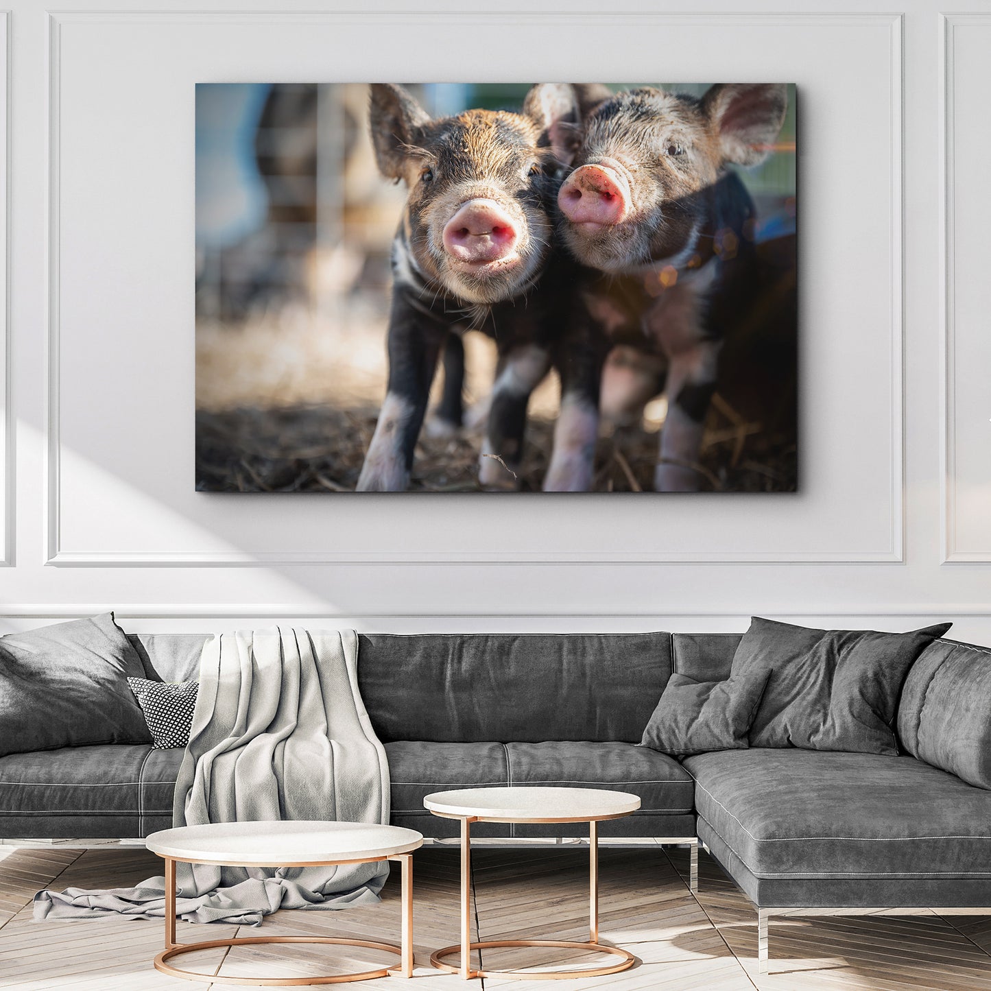 Adorable Piglets Canvas Wall Art Style 2 - Image by Tailored Canvases