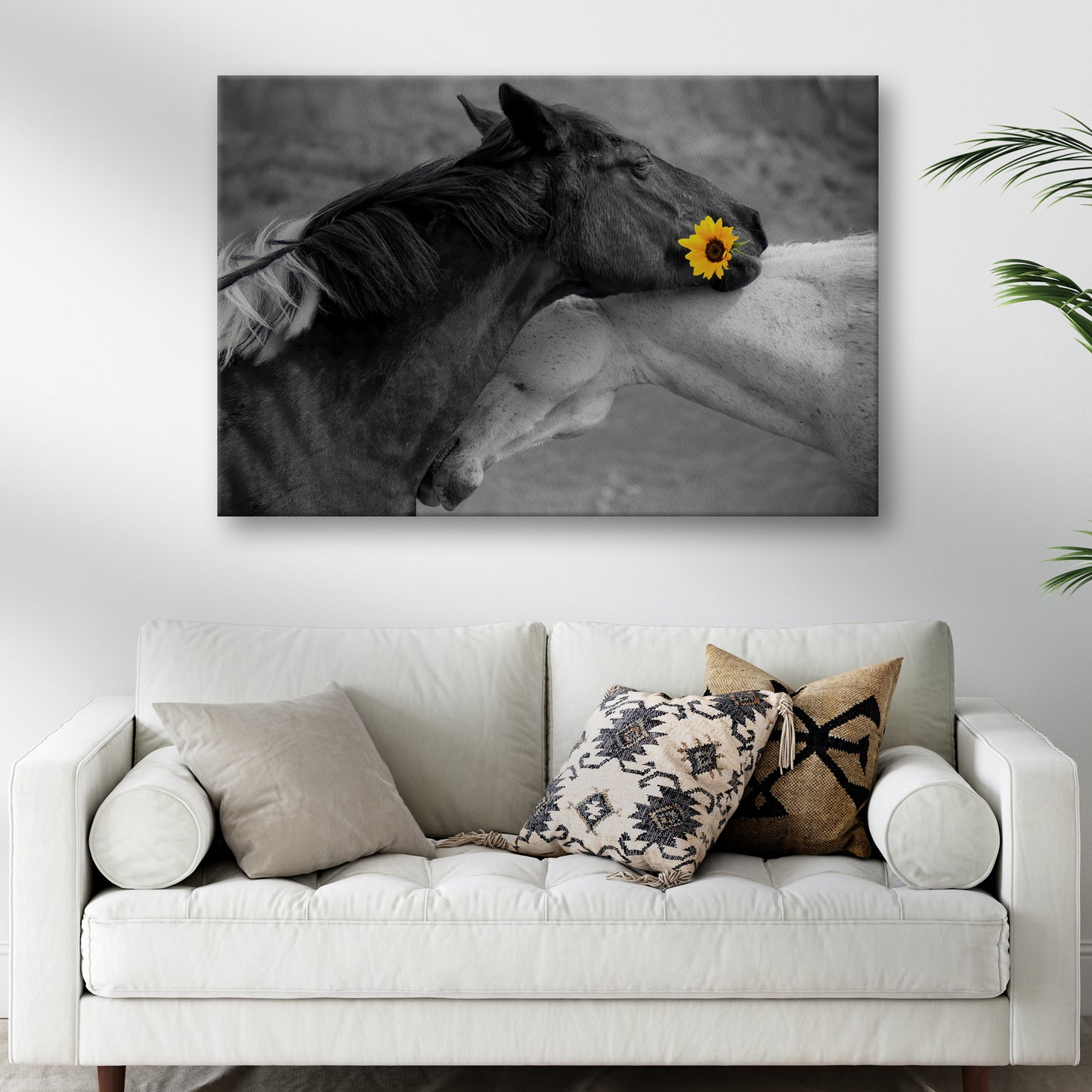 Sweet Black And White Horses Canvas Wall Art Style 2 - Image by Tailored Canvases