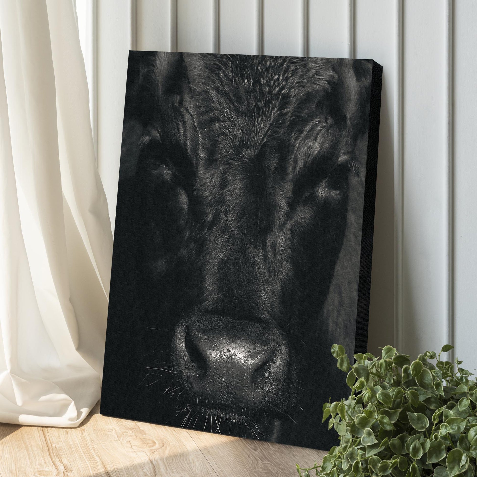 Black Angus Bull Portrait Canvas Wall Art Style 2 - Image by Tailored Canvases
