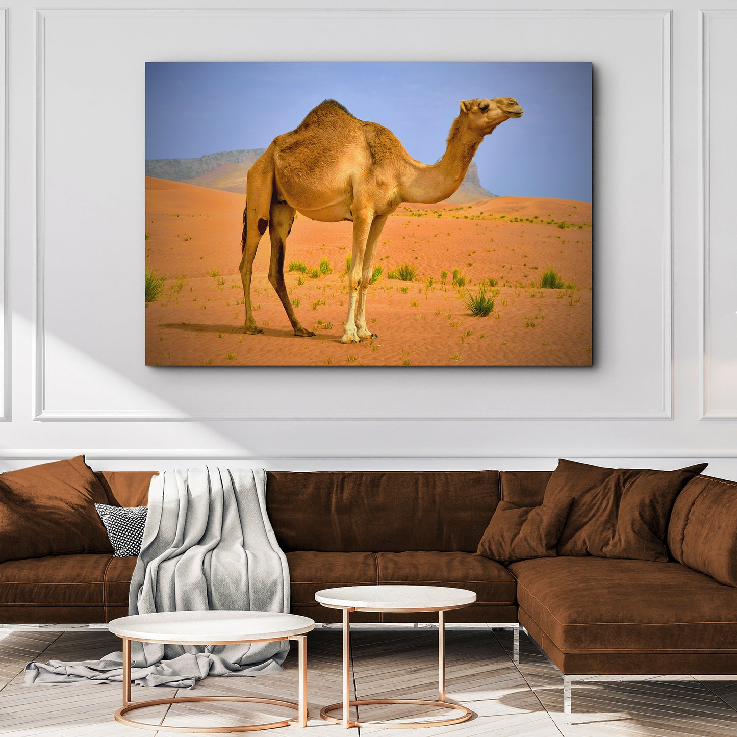 Arabian Camel Canvas Wall Art Style 2 - Image by Tailored Canvases