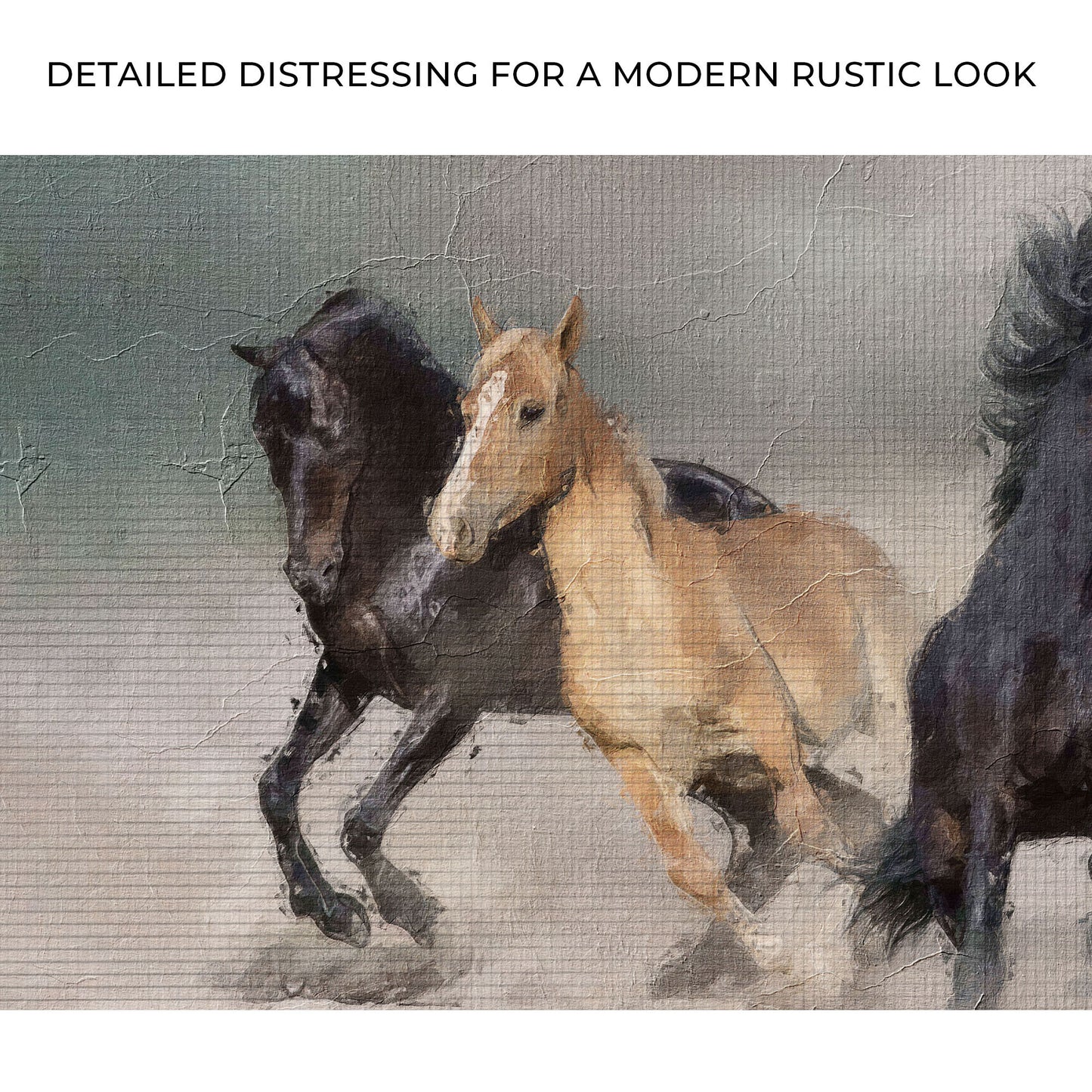 Dramatic Horse Running Zoom - Image by Tailored Canvases