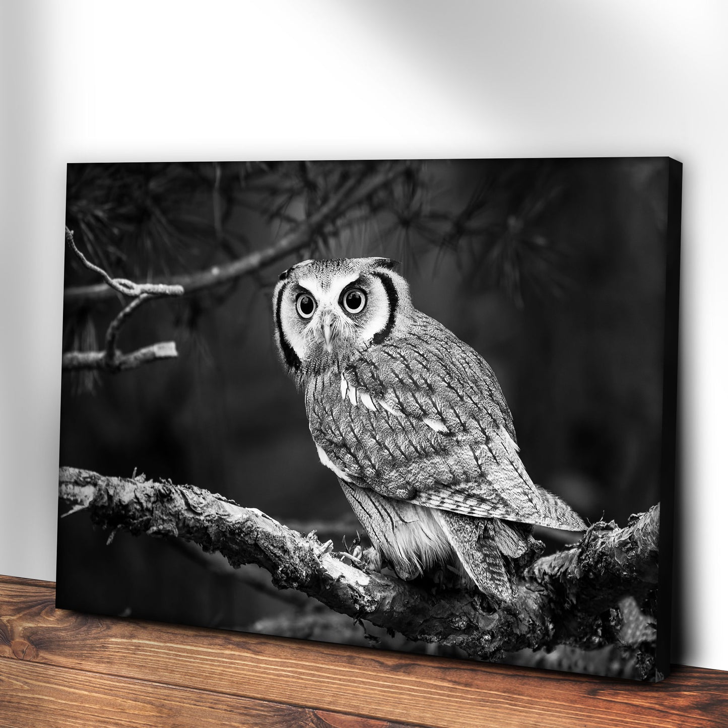 Black And White Owl Canvas Wall Art Style 2 - Image by Tailored Canvases