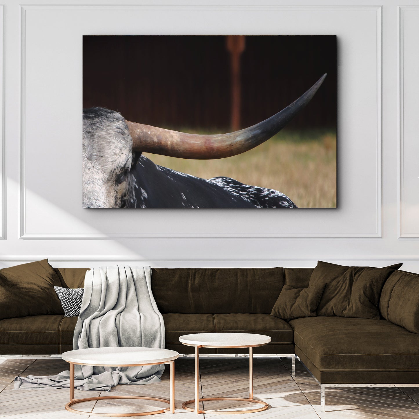 Focused Longhorn Cattle Canvas Wall Art Style 2 - Image by Tailored Canvases