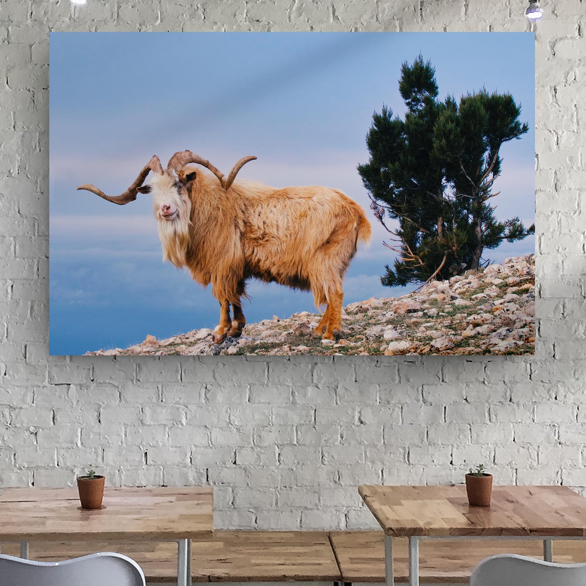 Wild Mountain Goat Canvas Wall Art - Image by Tailored Canvases