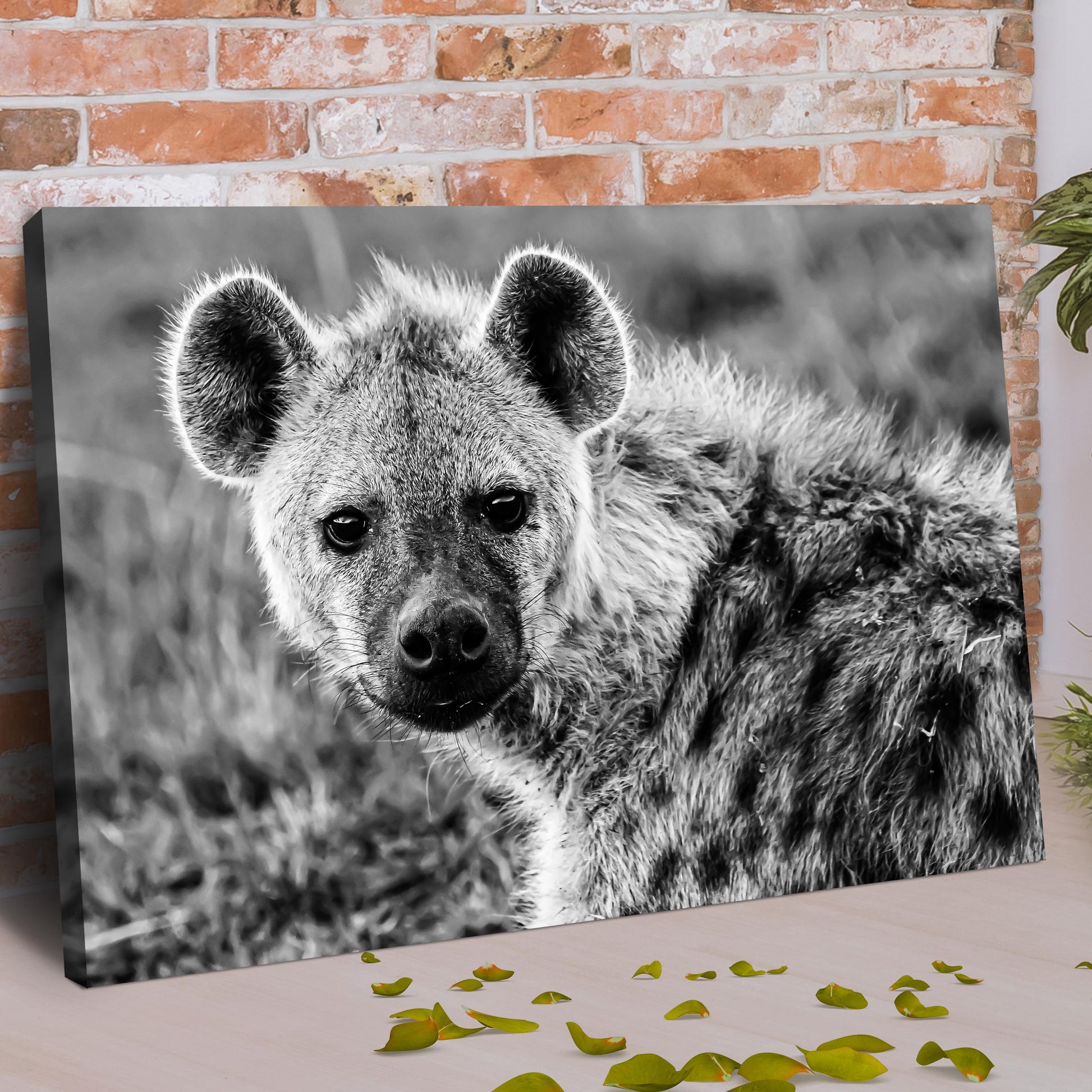 Hyena in Black and White Canvas Wall Art Style 2 - Image by Tailored Canvases