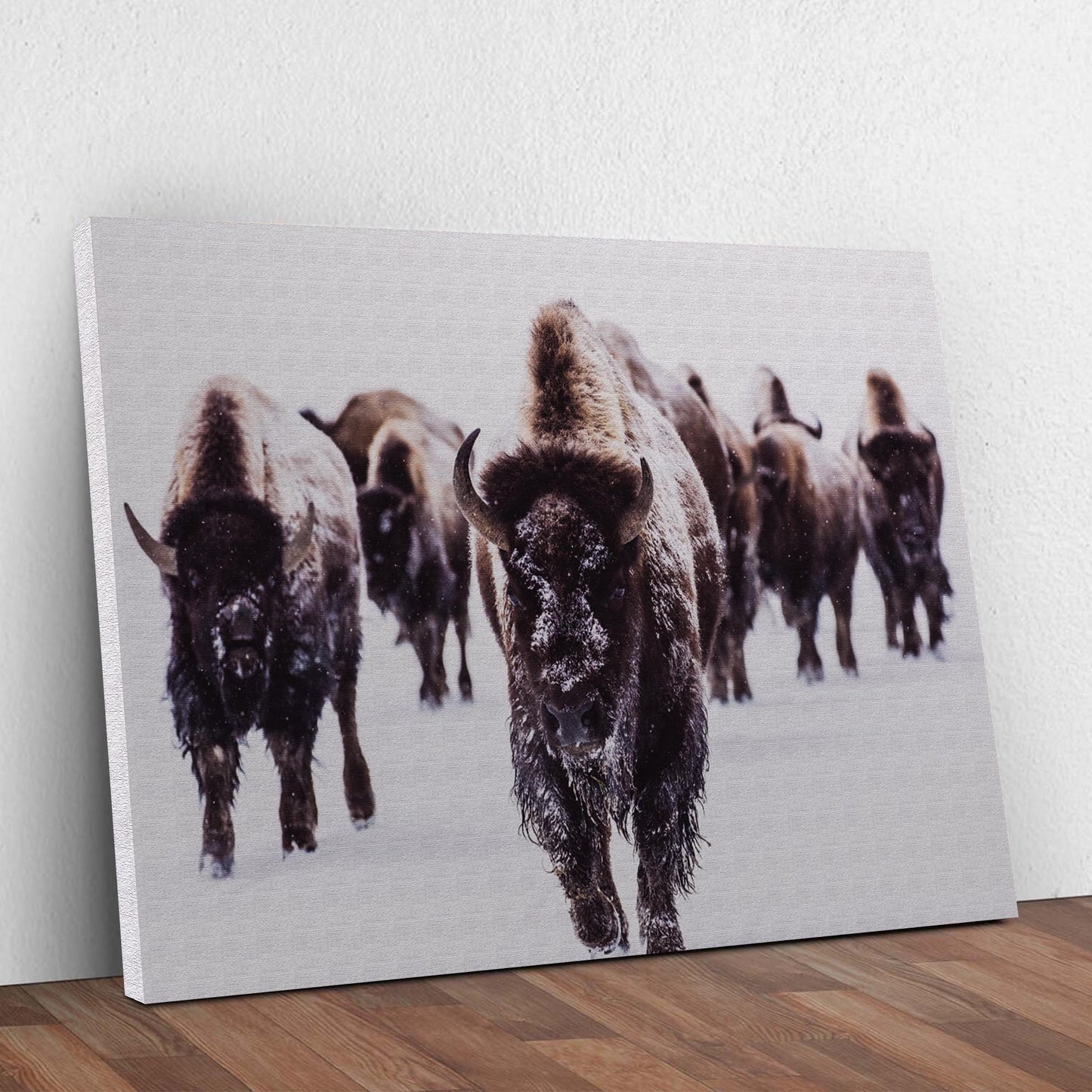 Bison Herd in Winter Canvas Wall Art Style 2 - Image by Tailored Canvases