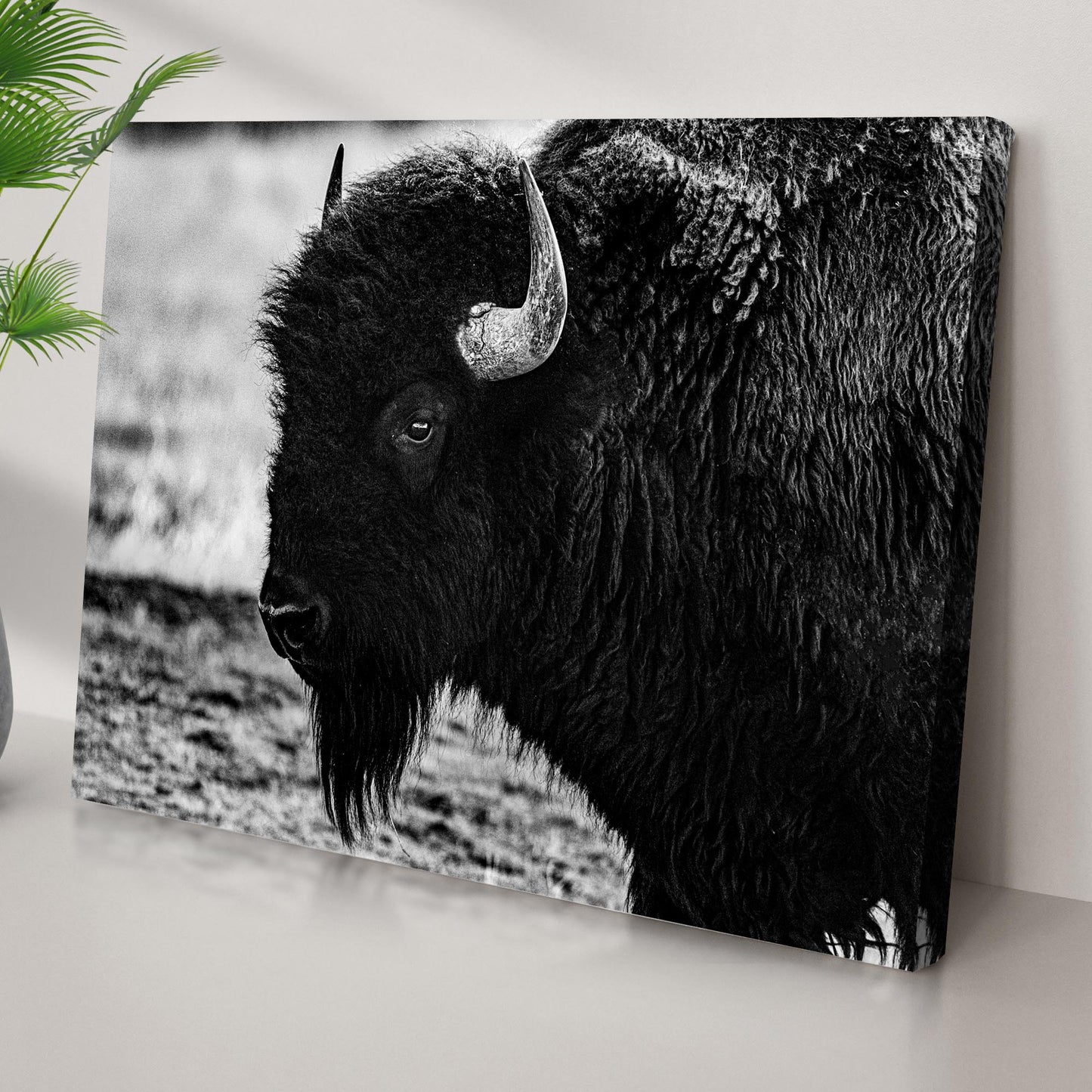 Black and White Bison Canvas Wall Art Style 2 - Image by Tailored Canvases