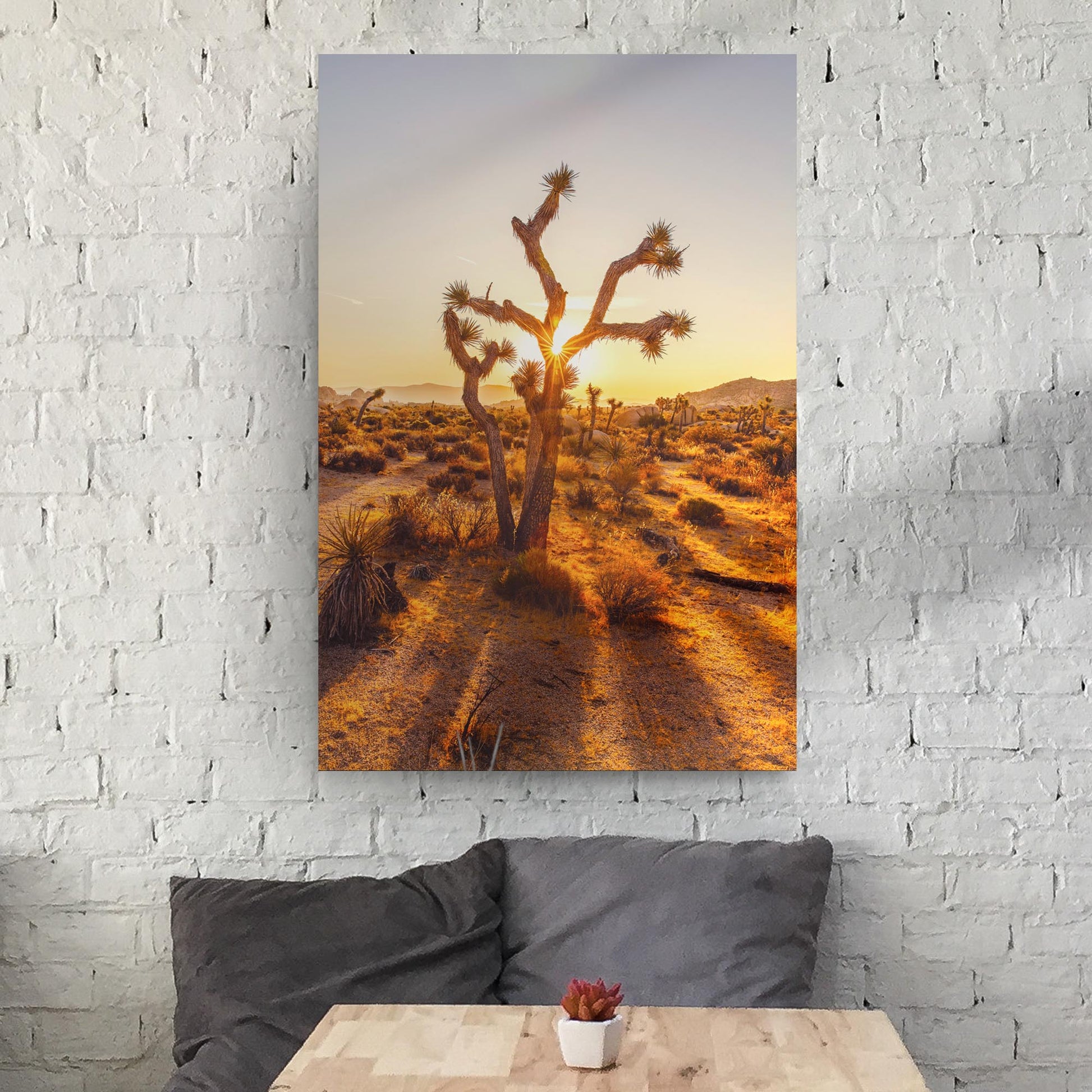 Joshua Tree Of The Mojave And Colorado Deserts Canvas Wall Art Style 2 - Image by Tailored Canvases