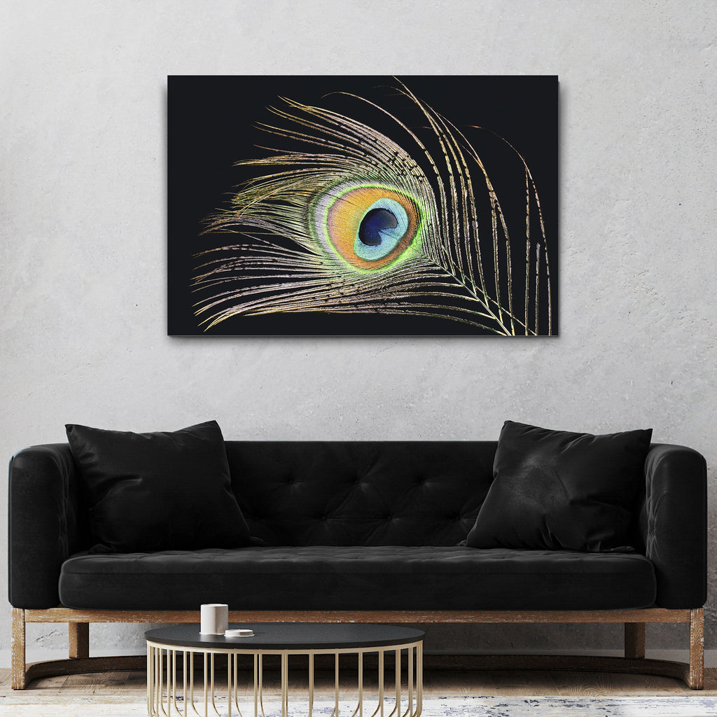 Decor Elements Feather Peacock Canvas Wall Art by Tailored Canvases