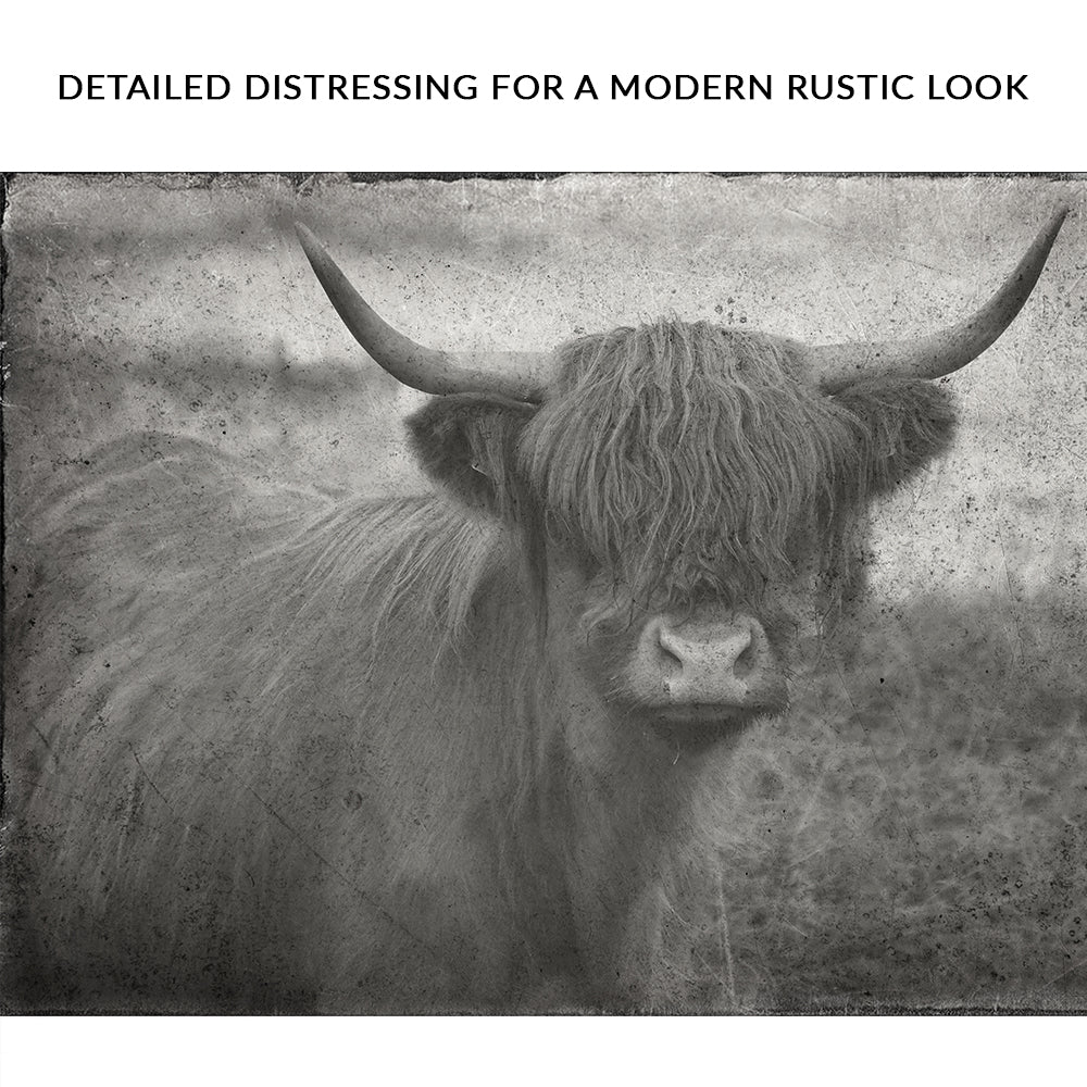 Vintage Highland Cattle Zoom - Image by Tailored Canvases