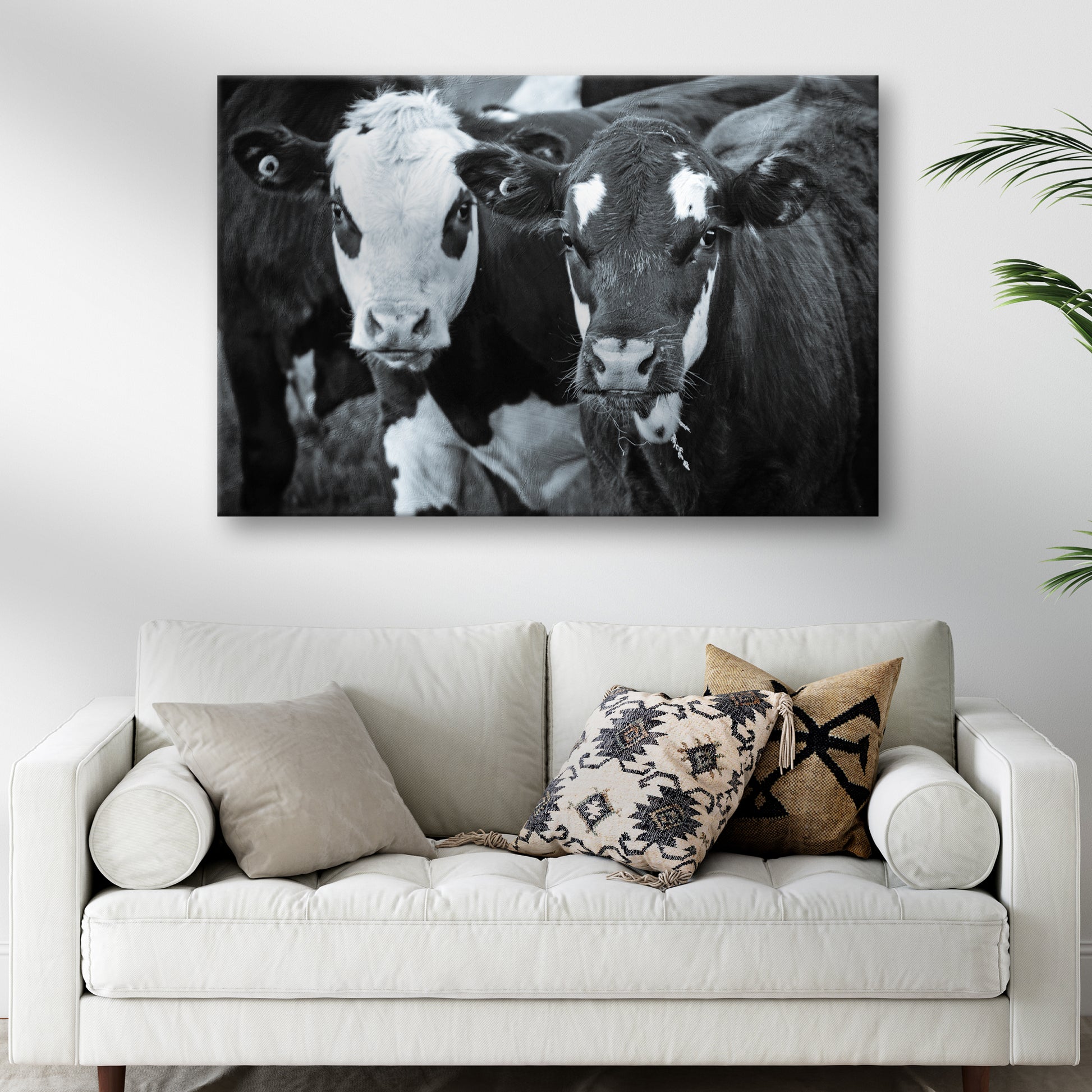 Black And White Cows Canvas Wall Art Style 2 - Image by Tailored Canvases