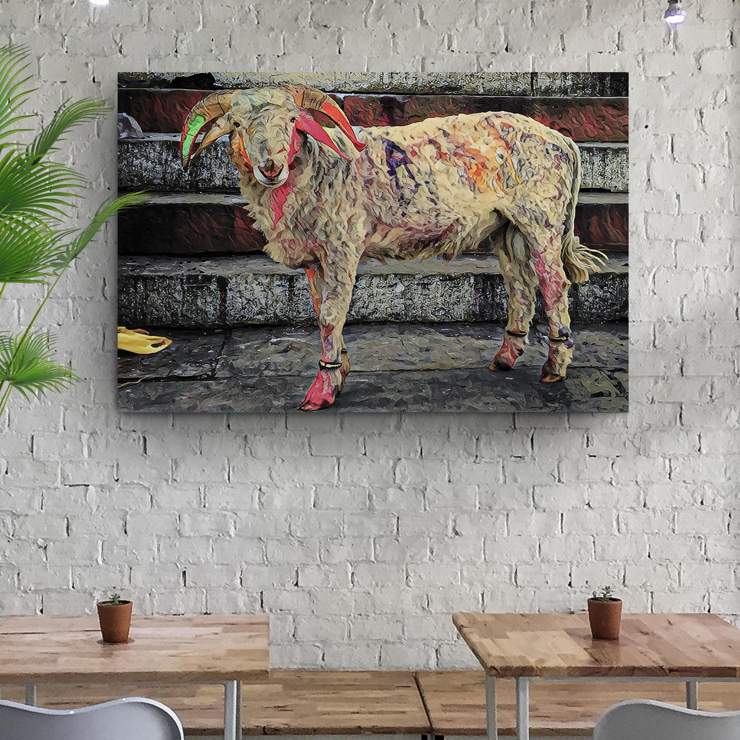 Colored Sheep In Paint Splash Canvas Wall Art Style 2 - Image by Tailored Canvases