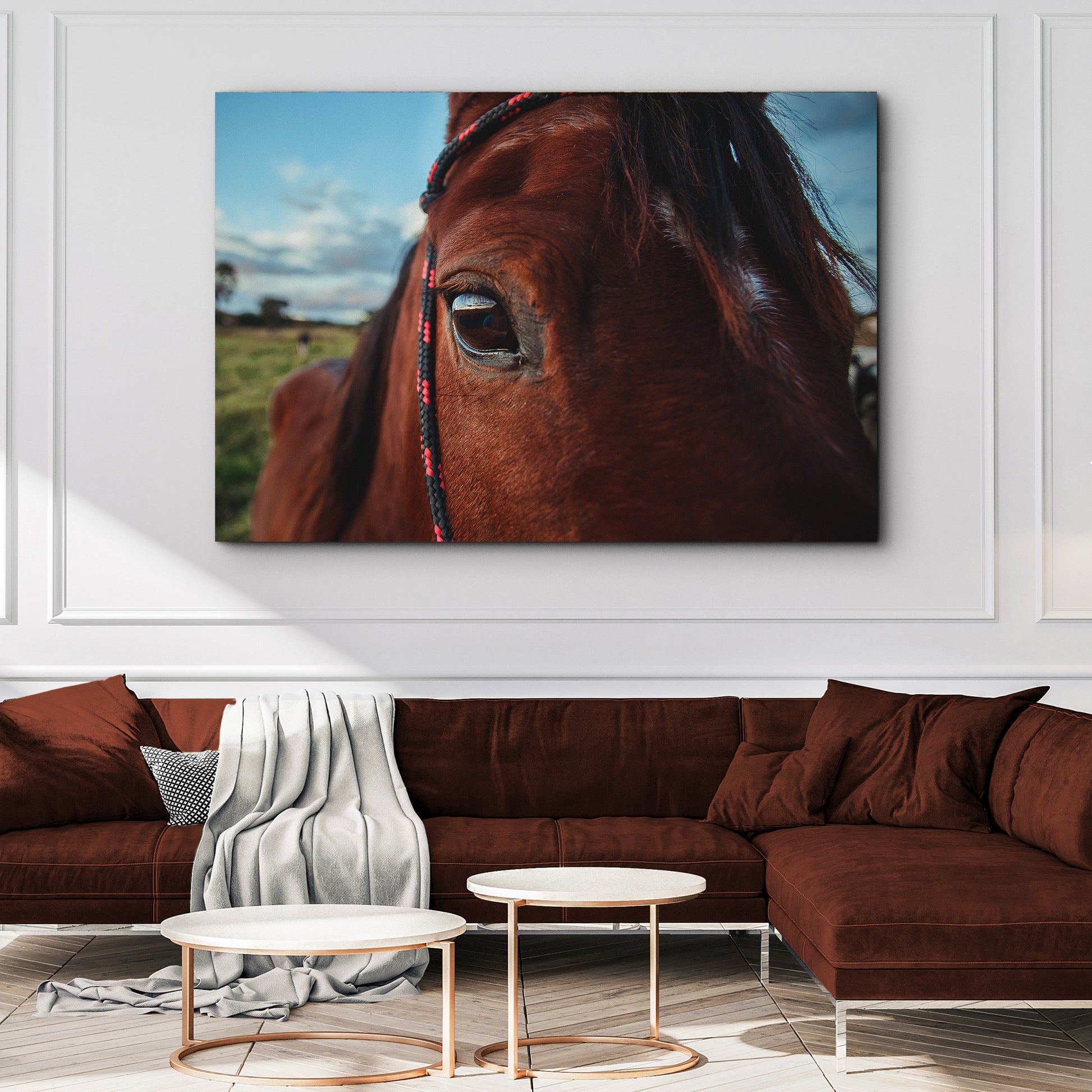 Horse Eye Canvas Wall Art Style 2 - Image by Tailored Canvases