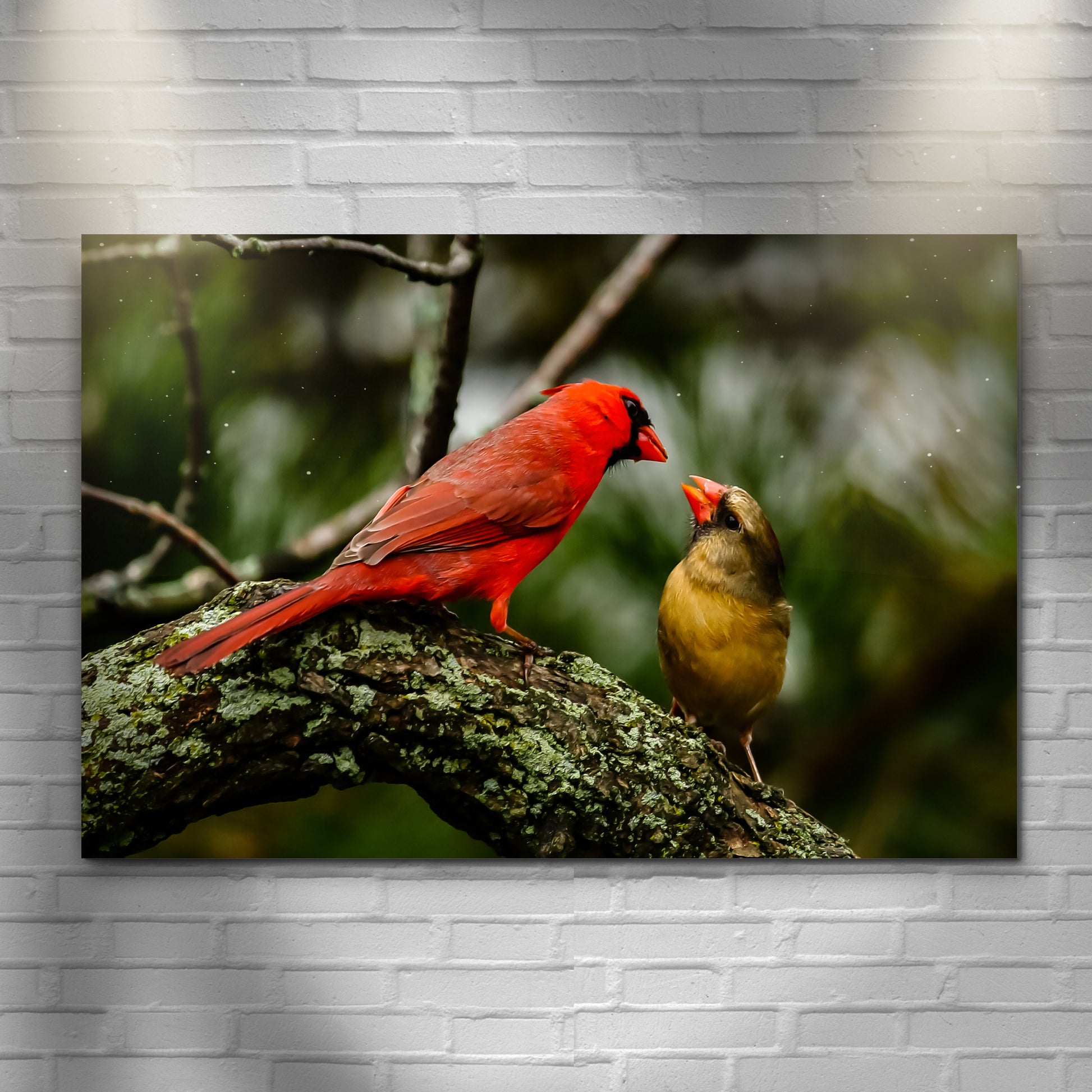 Couple Cardinal Birds Canvas Wall Art Style 1 - Image by Tailored Canvases