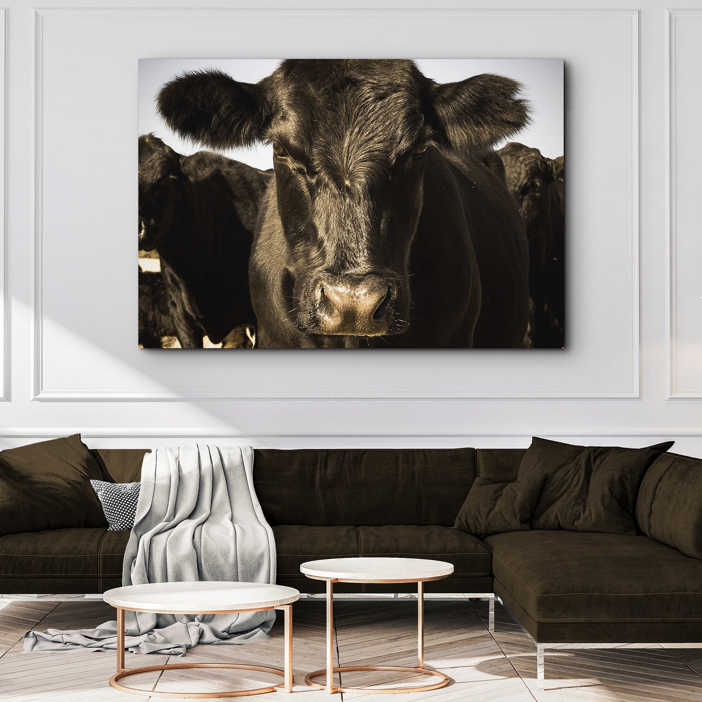 Black Angus Bull Canvas Wall Art Style 2 - Image by Tailored Canvases