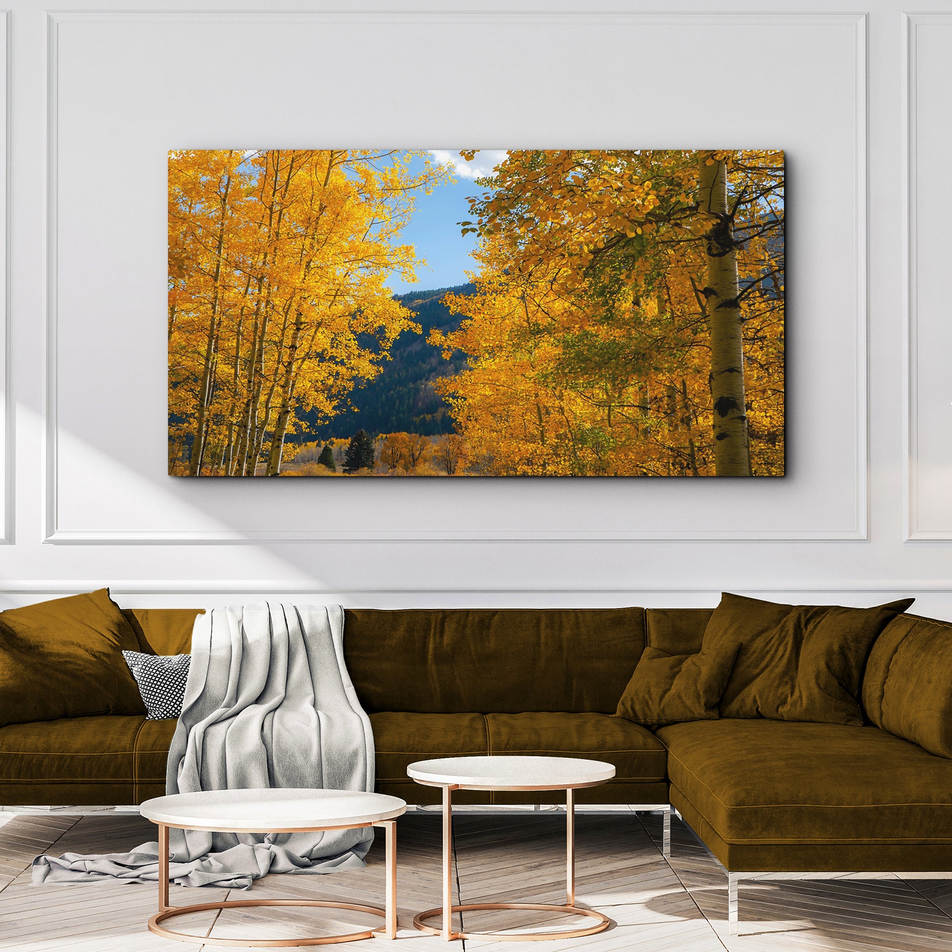 Colorado Aspen Forest Canvas Wall Art Style 2 - Image by Tailored Canvases