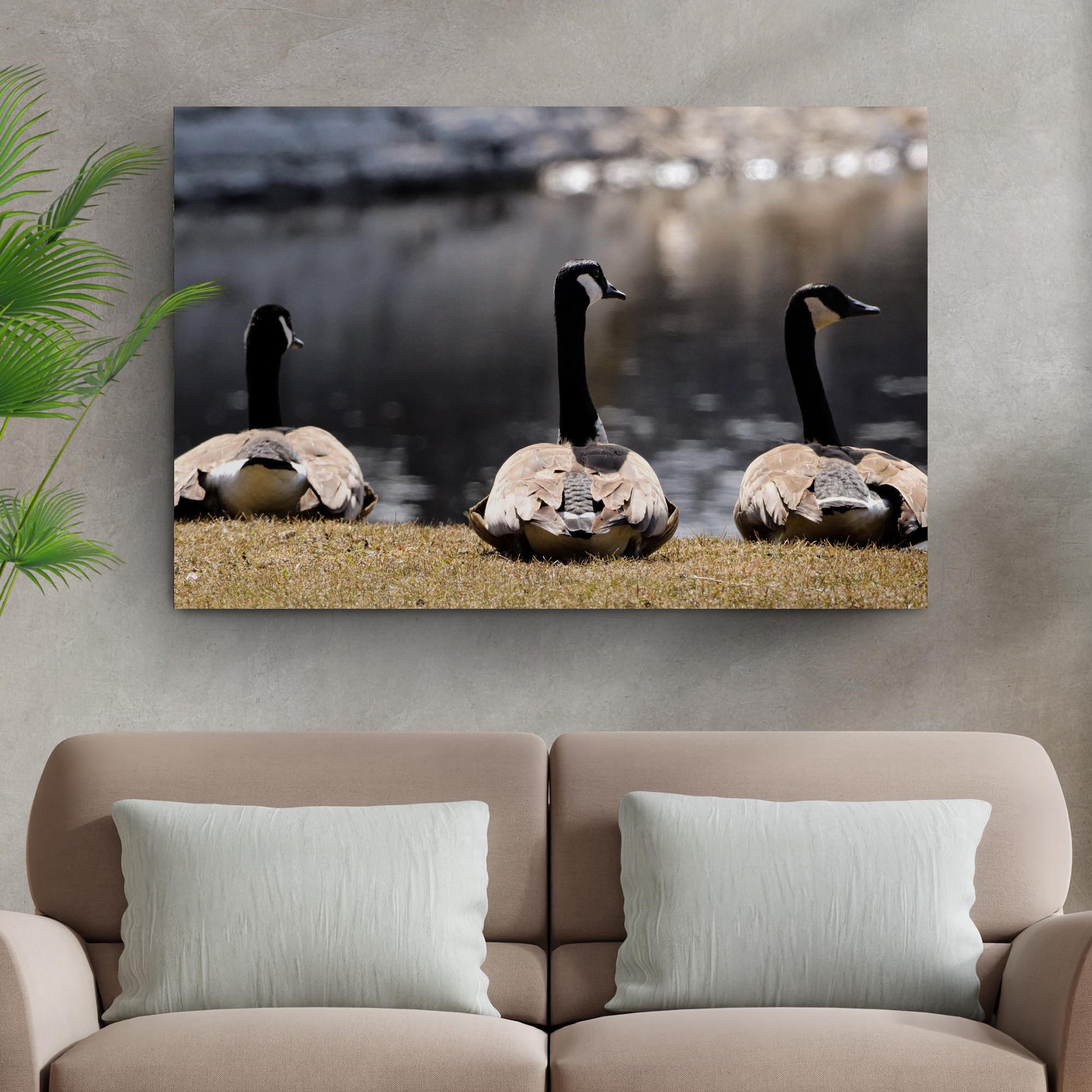 Resting Canadian Geese Canvas Wall Art - Image by Tailored Canvases