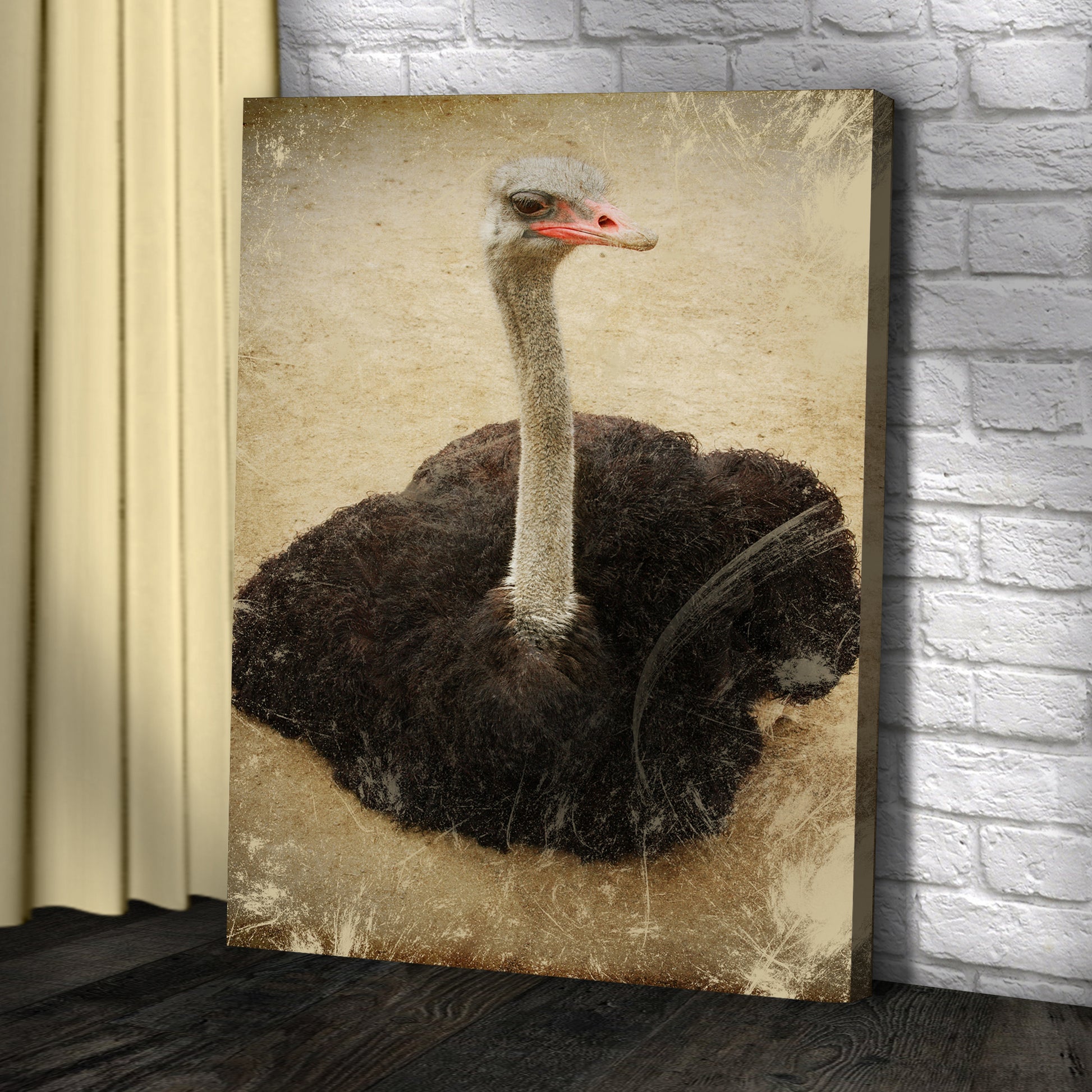 Vintage Ostrich Portrait Canvas Wall Art Style 2 - Image by Tailored Canvases