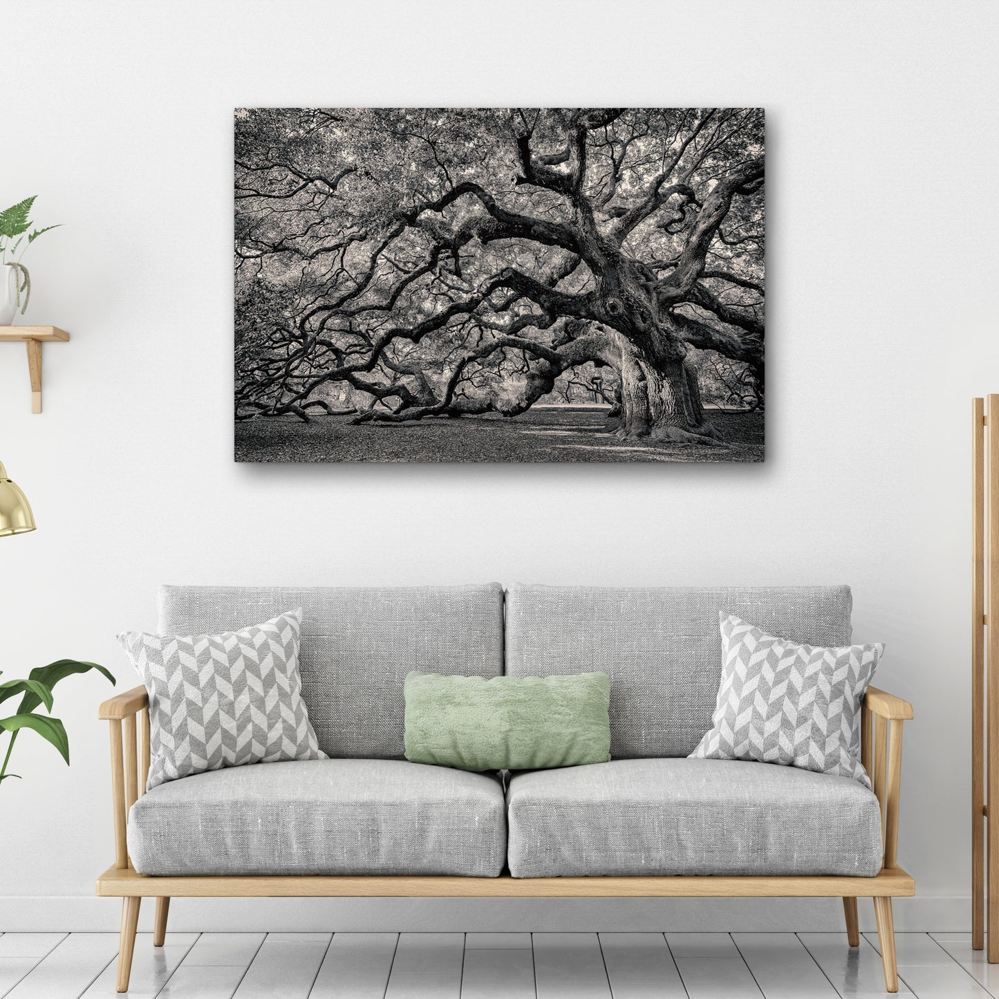 Monochrome Angel Oak Tree Canvas Wall Art Style 2 - Image by Tailored Canvases
