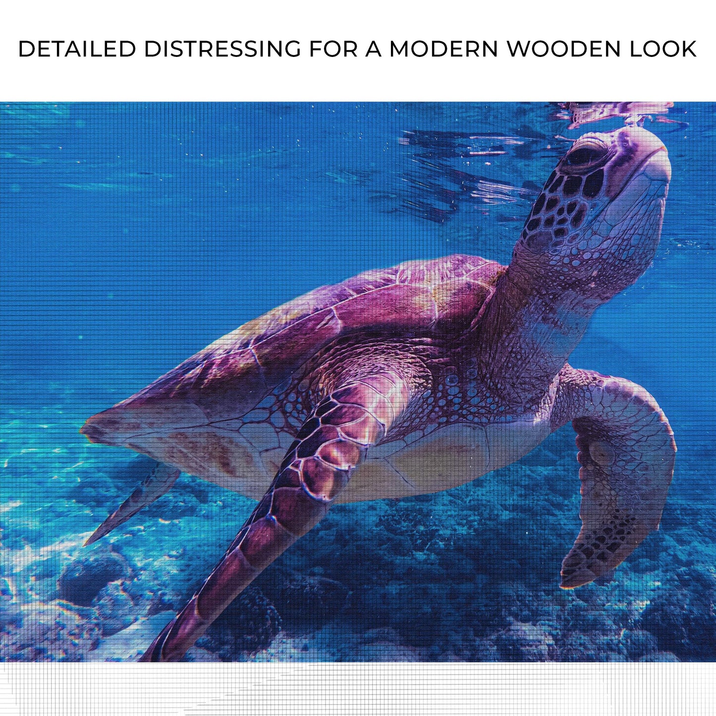Sea Turtle Swimming Canvas Wall Art Zoom - Image by Tailored Canvases