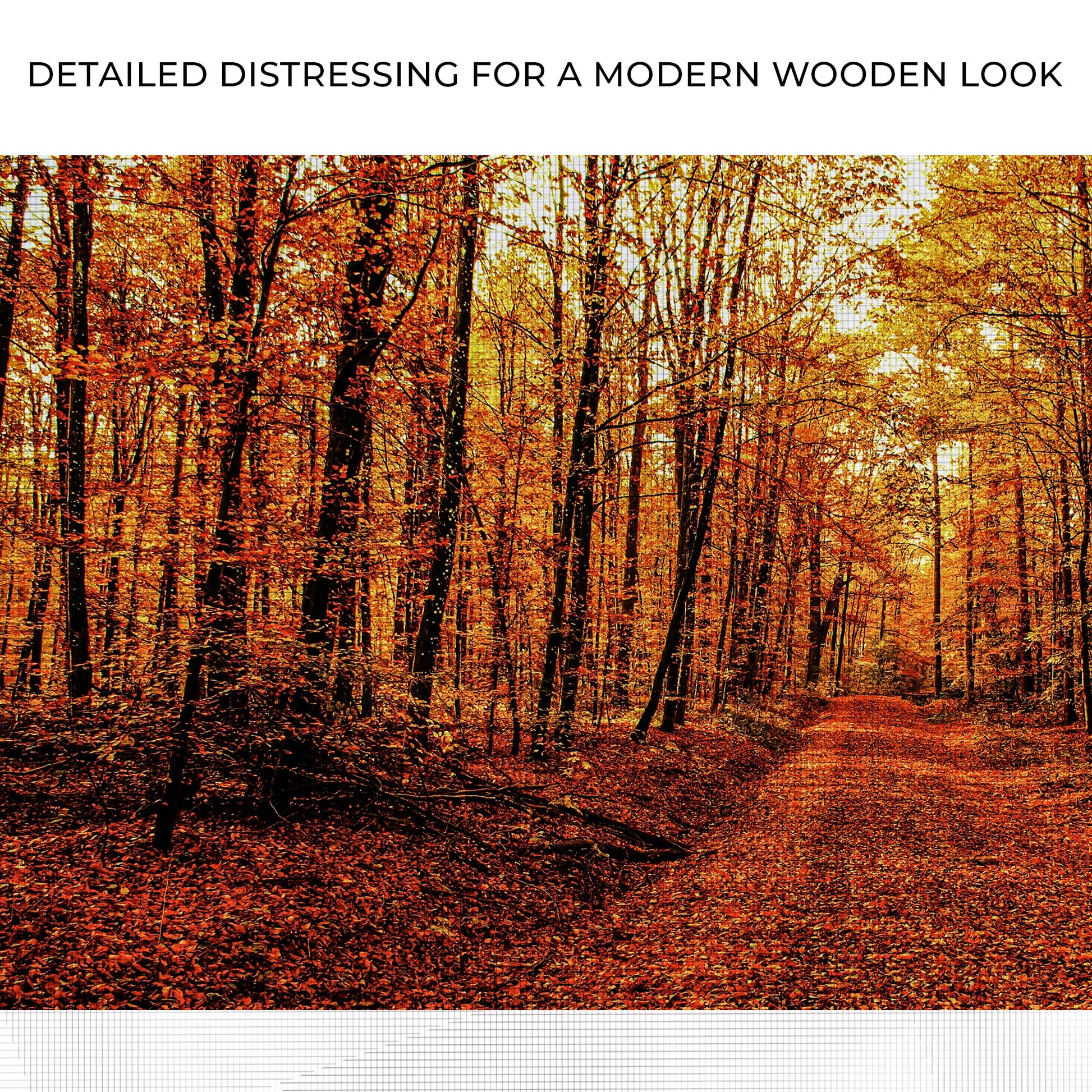 Autumn Tree Forest Canvas Wall Art Zoom - Image by Tailored Canvases