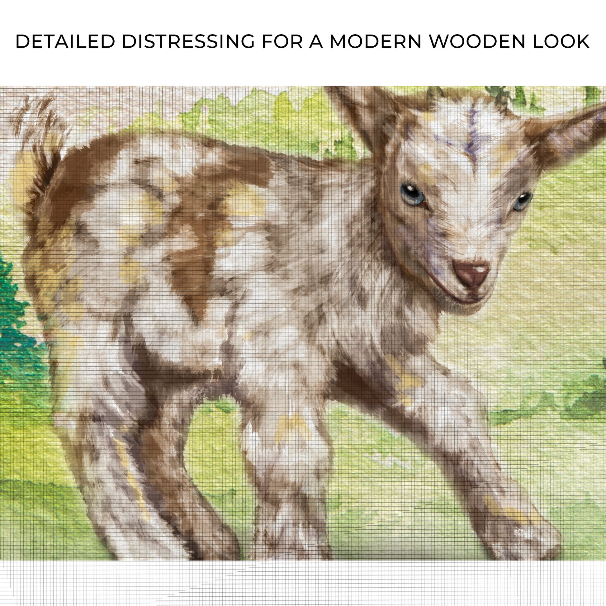 Adorable Baby Goat Canvas Wall Art Zoom - Image by Tailored Canvases