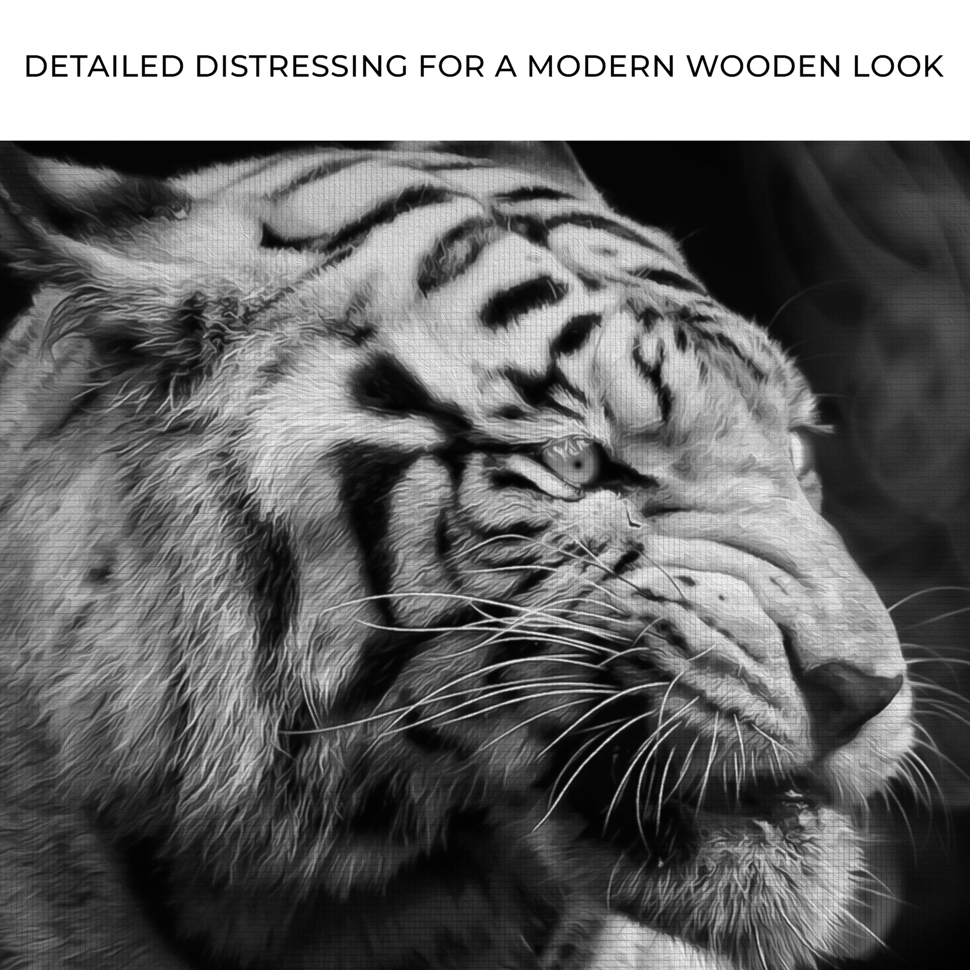 Black and White Smoking Tiger Canvas Wall Art Zoom - Image by Tailored Canvases