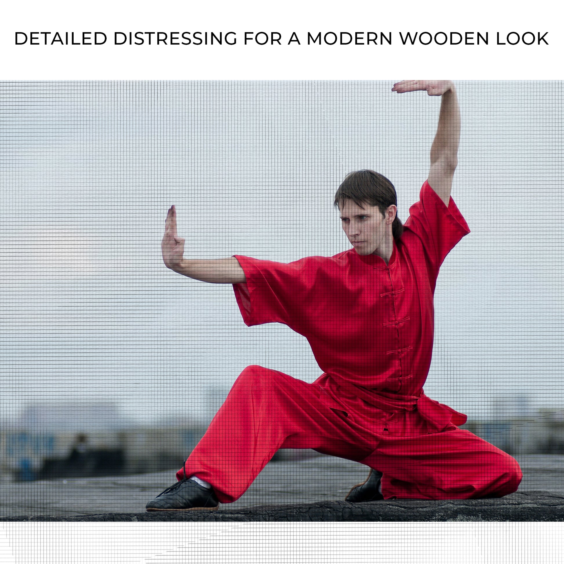 Kung Fu Stance Canvas Wall Art Zoom - Image by Tailored Canvases