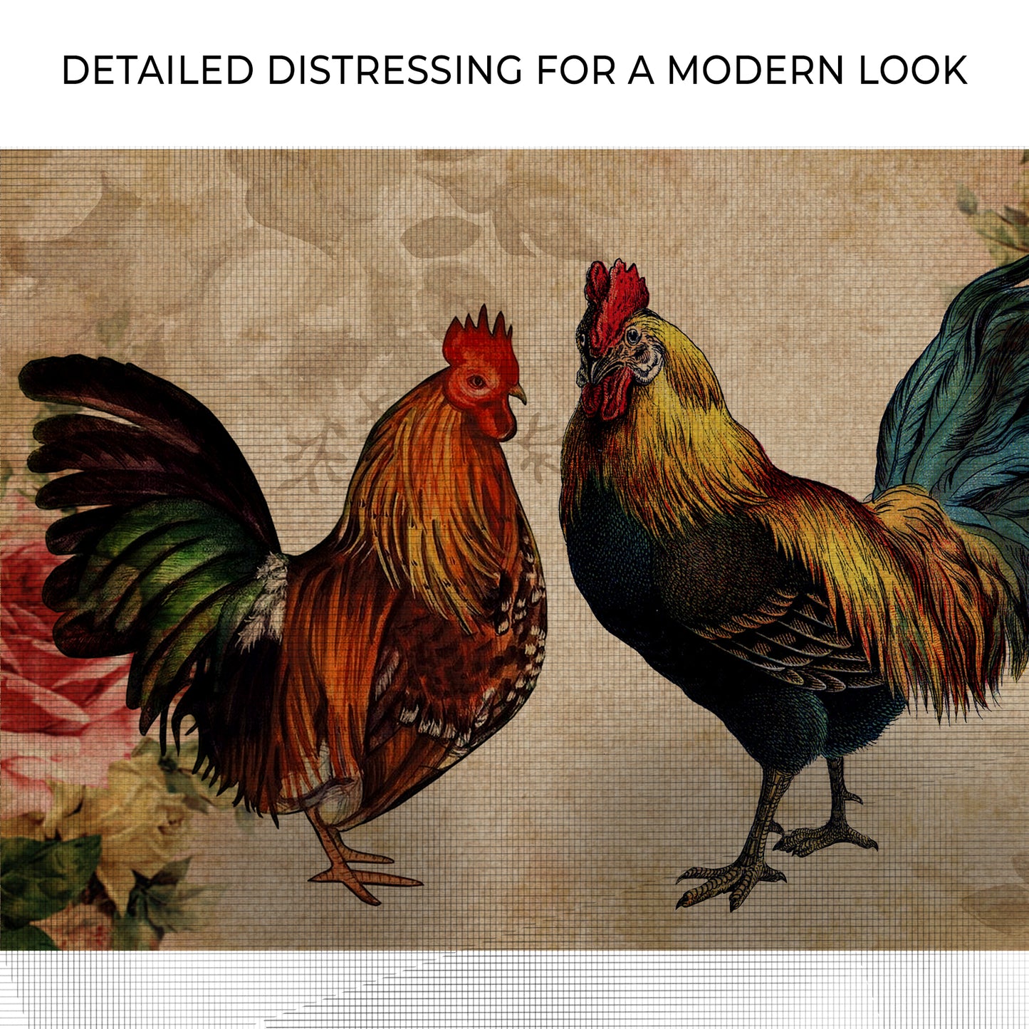 Retro Rooster Chicken Canvas Wall Art Zoom - Image by Tailored Canvases