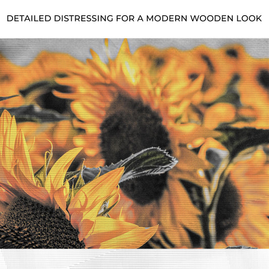 Rustic Pop Sunflower Canvas Wall Art Zoom - Image by Tailored Canvases