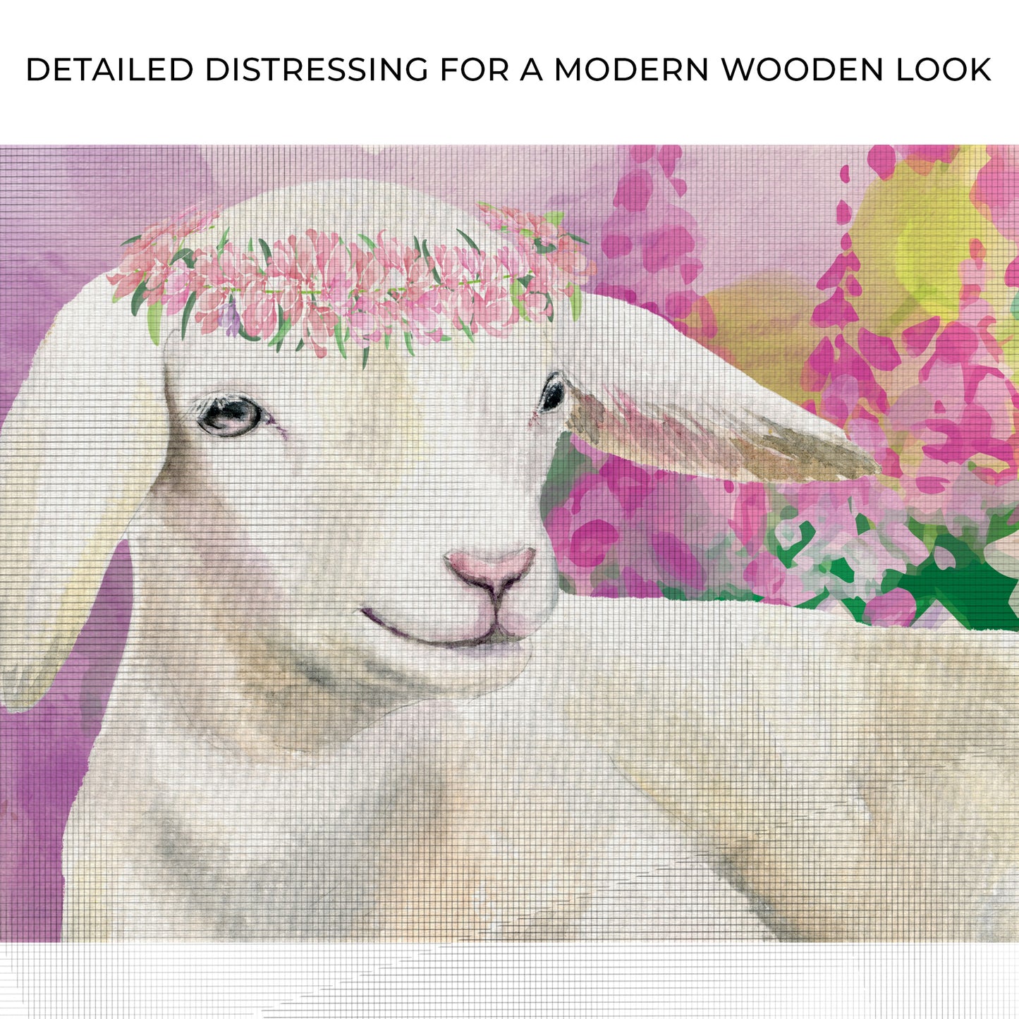 Sitting Pretty Baby Goat Canvas Wall Art Zoom - Image by Tailored Canvases