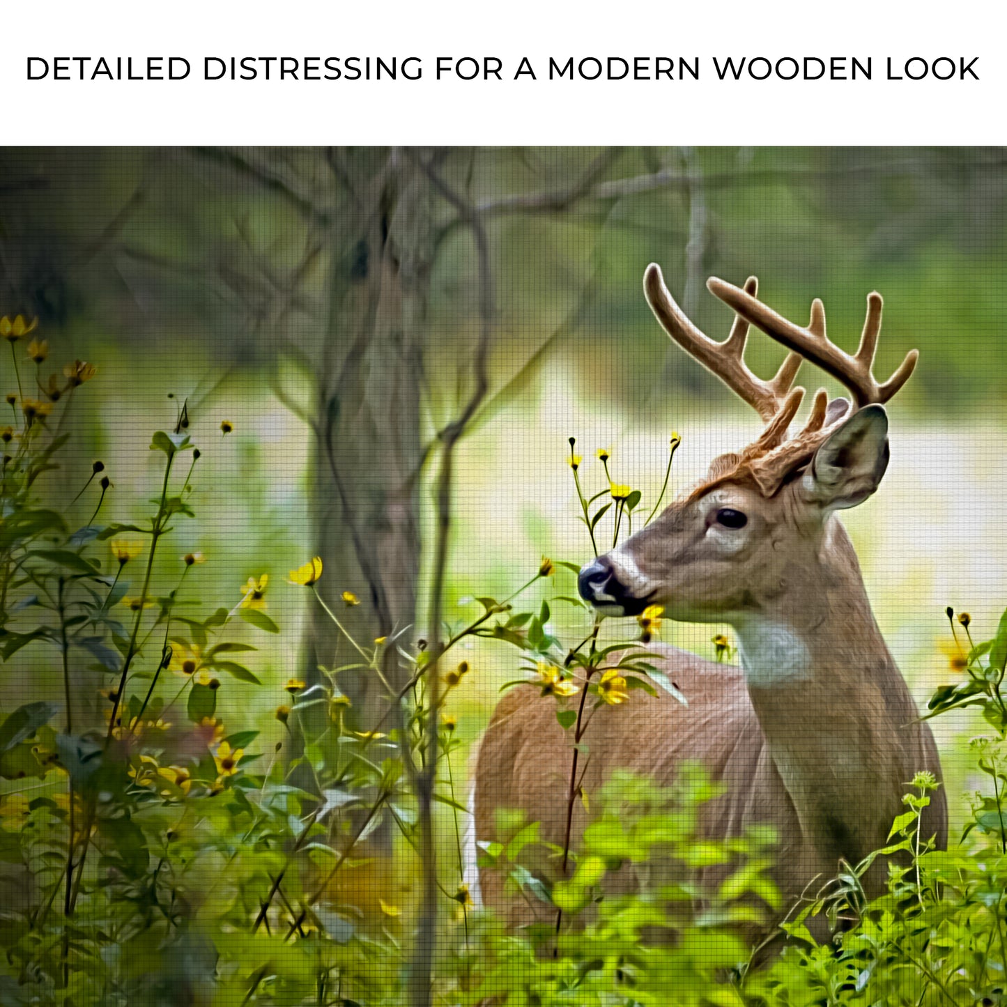 Whitetail Deer In Forest Bushes Canvas Wall Art Zoom - Image by Tailored Canvases