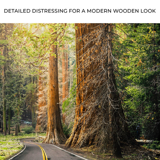 Sequoia Tree Lane Canvas Wall Art Zoom - Image by Tailored Canvases