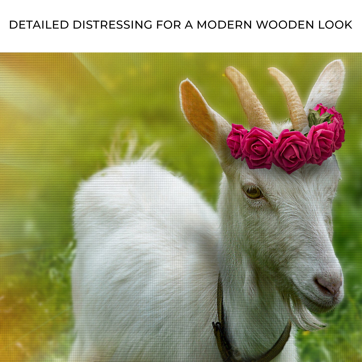 Red Flower Crown Goat Canvas Wall Art Zoom - Image by Tailored Canvases